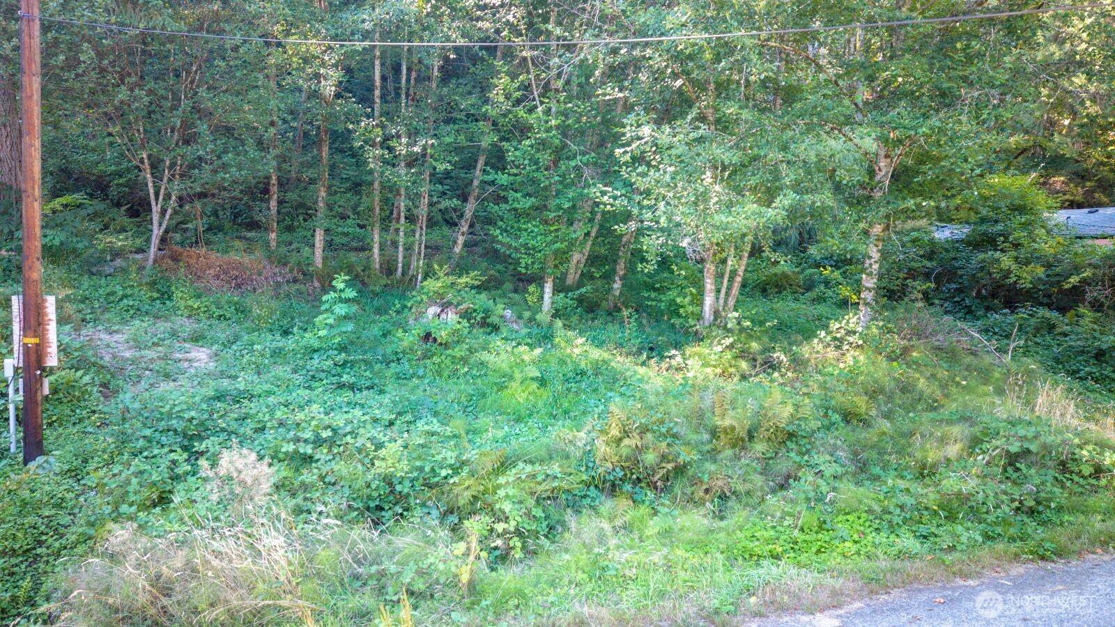 141 Ne Steelhead Drive Property Photo 5