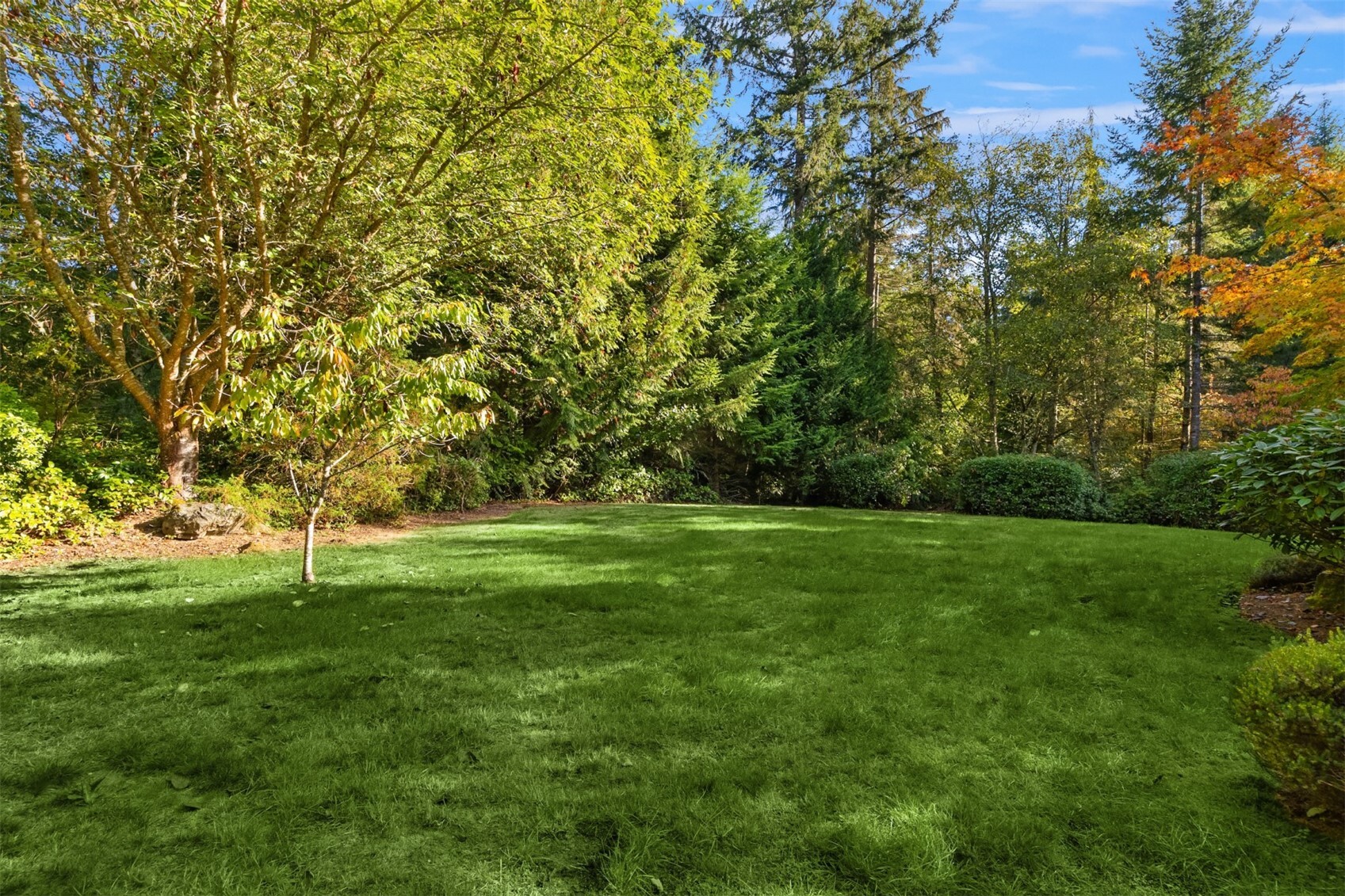 4731 Tree Ridge Lane Property Photo 34