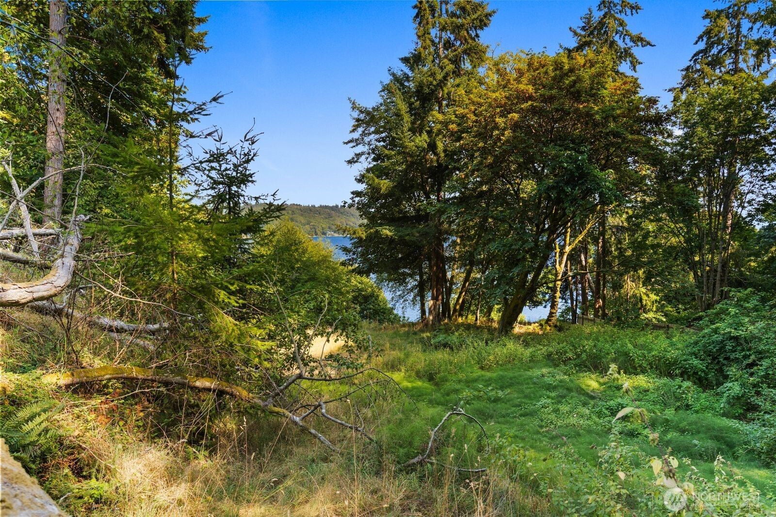 290 Xx 125th Place Property Photo 8
