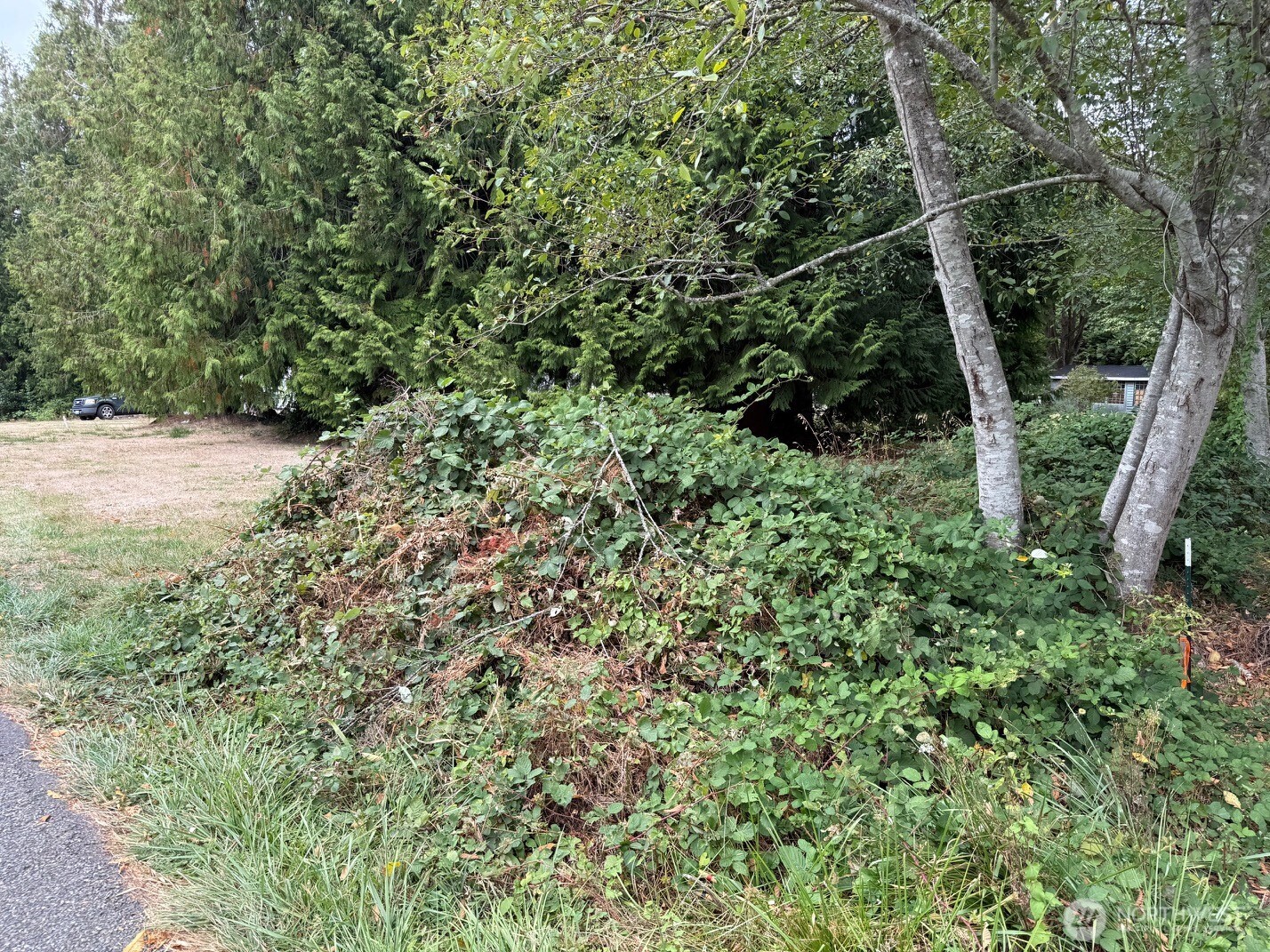 12528 Ne Philip Drive Property Photo 3