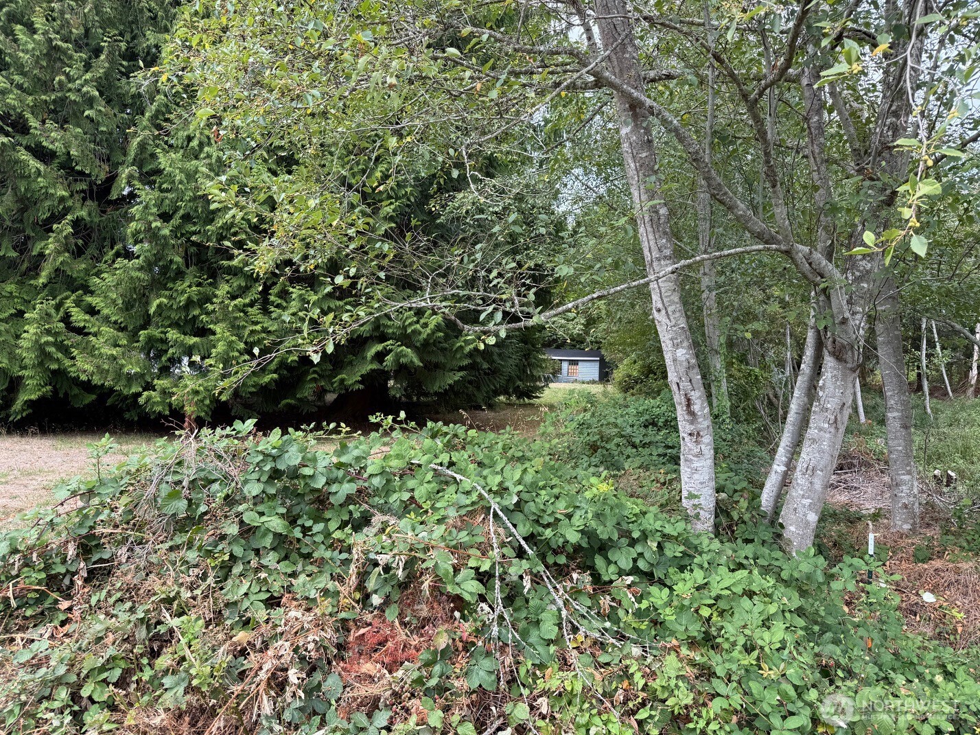 12528 Ne Philip Drive Property Photo 4