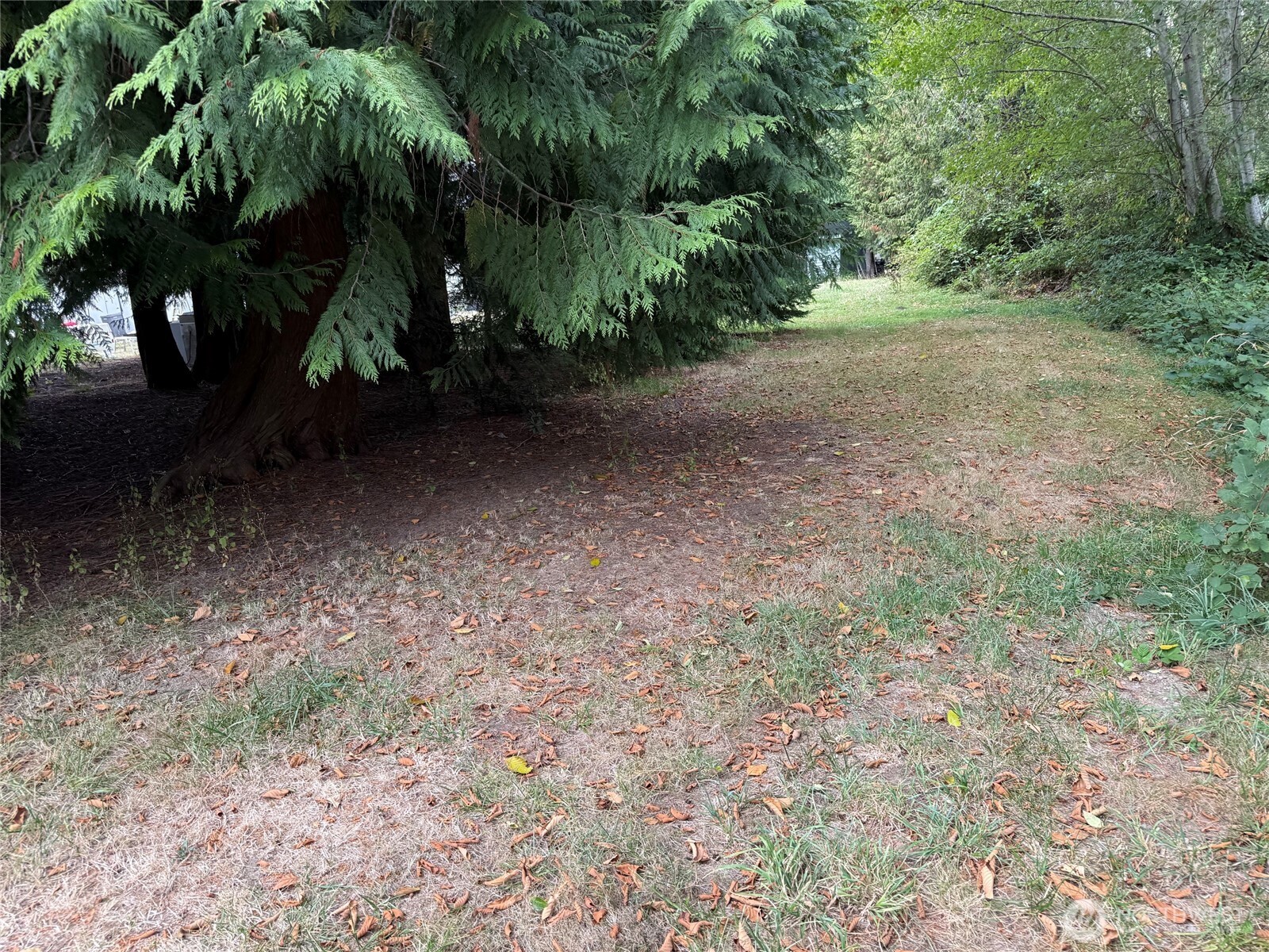 12528 Ne Philip Drive Property Photo 5