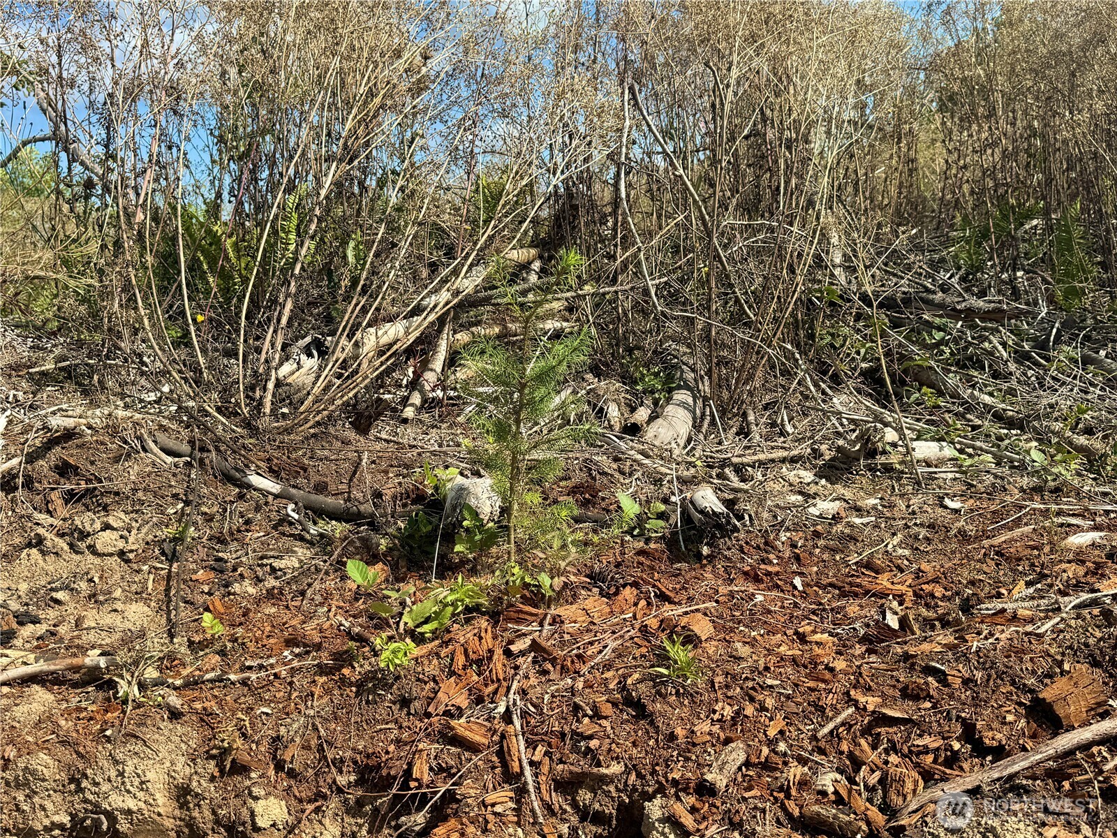 201 Sawall Avenue Property Photo 15
