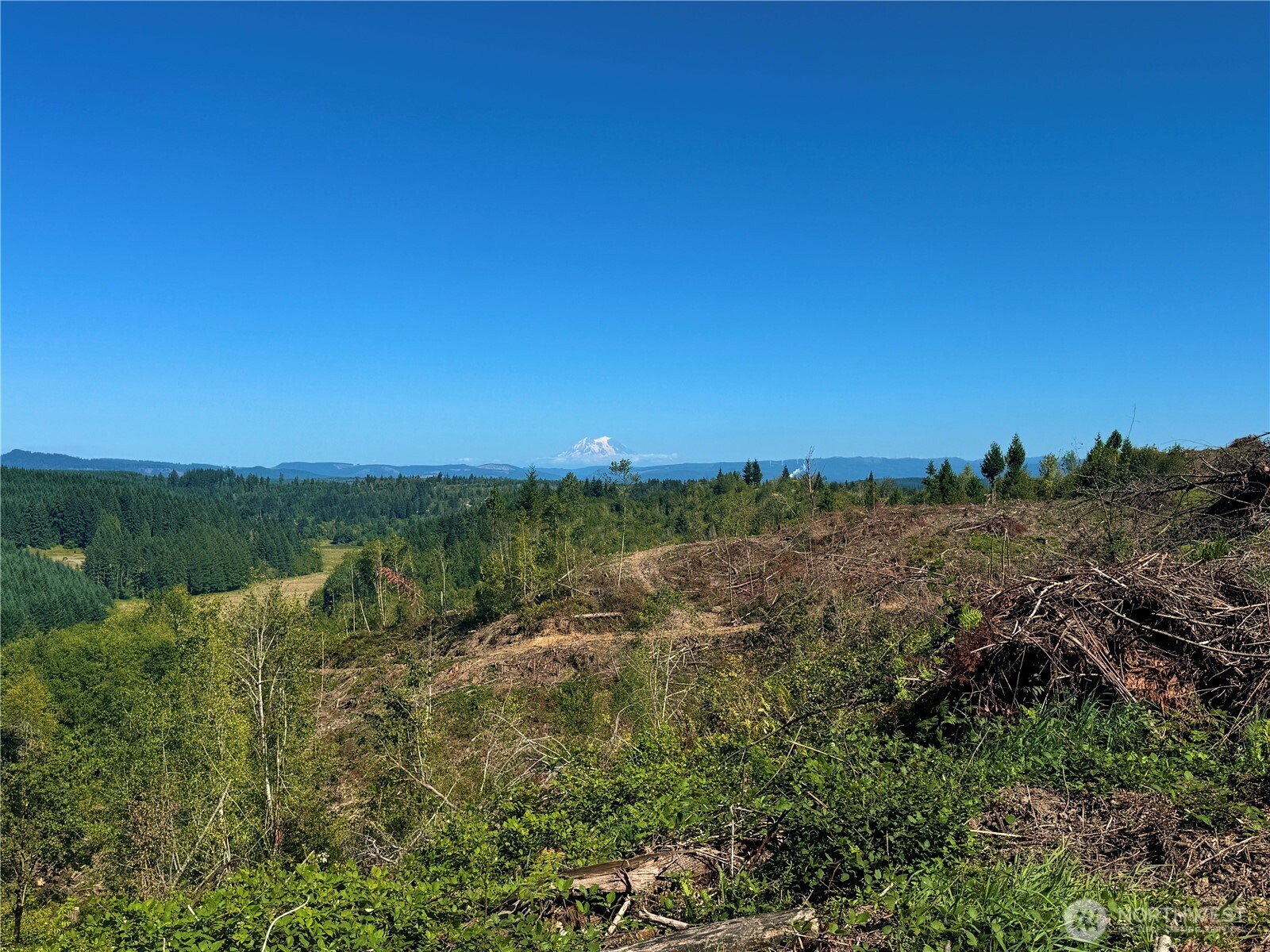 201 Sawall Avenue Property Photo 20
