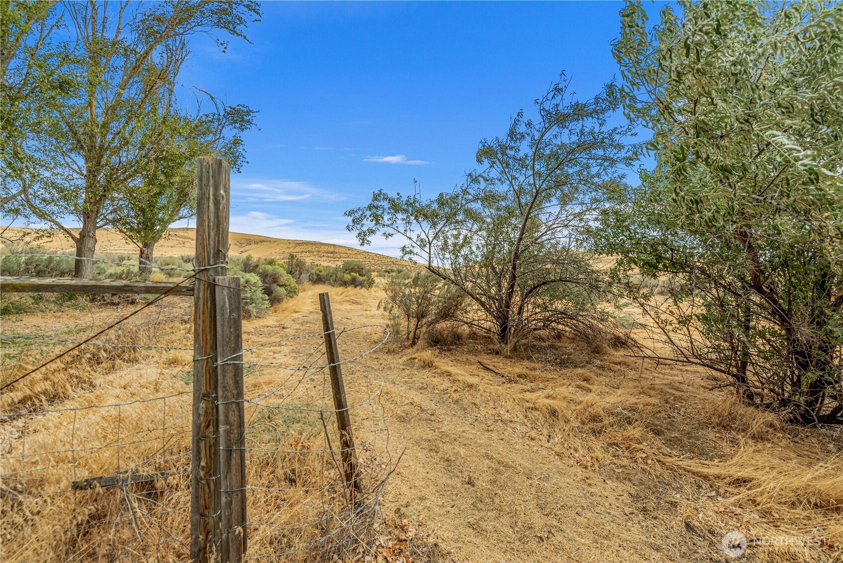 5378 Painted Hills Property Photo 40