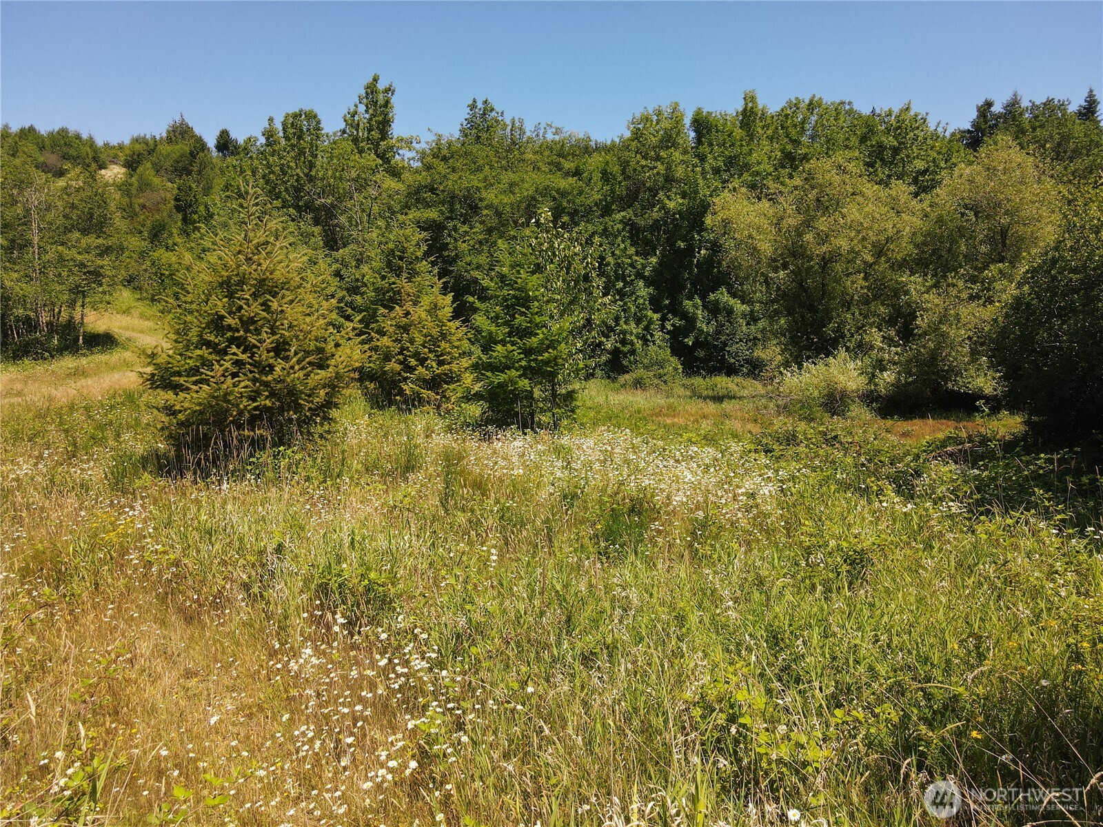 150 Sawall Avenue Property Photo 1