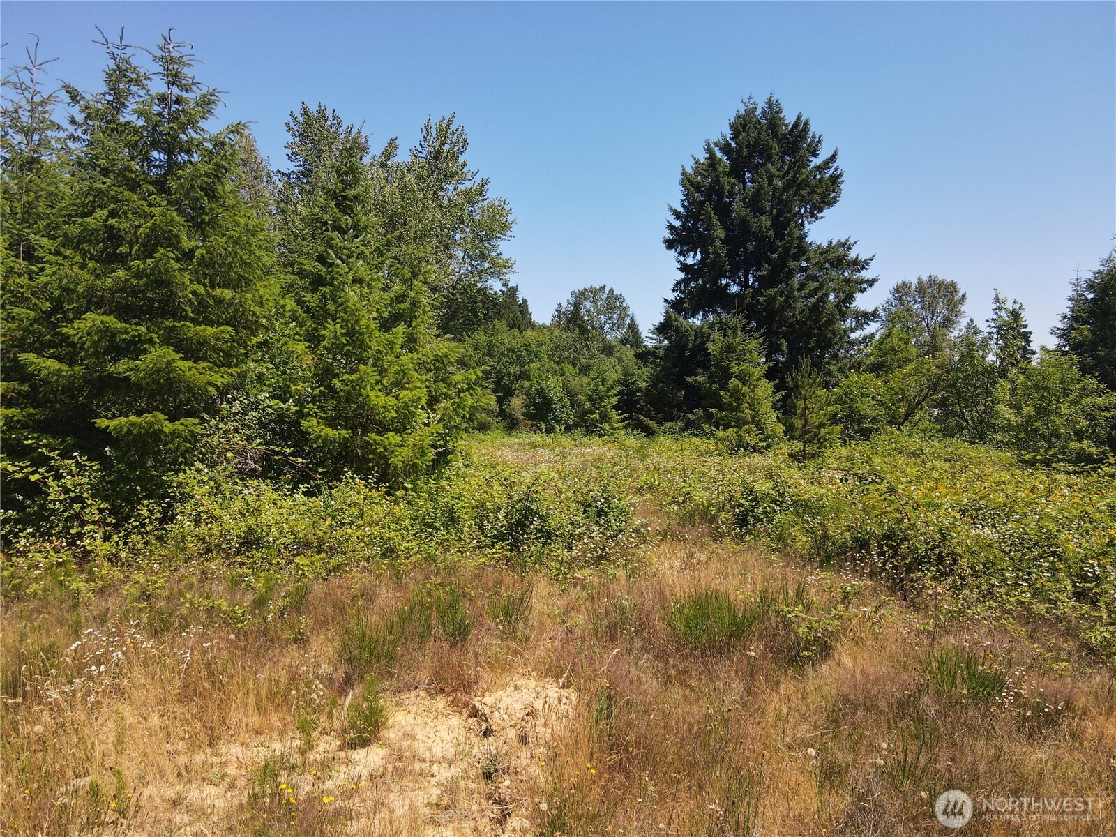 150 Sawall Avenue Property Photo 8