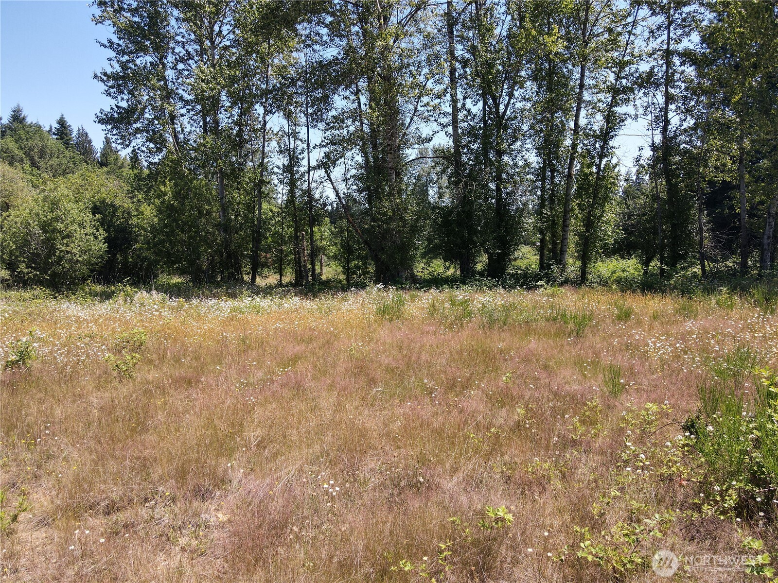 150 Sawall Avenue Property Photo 10