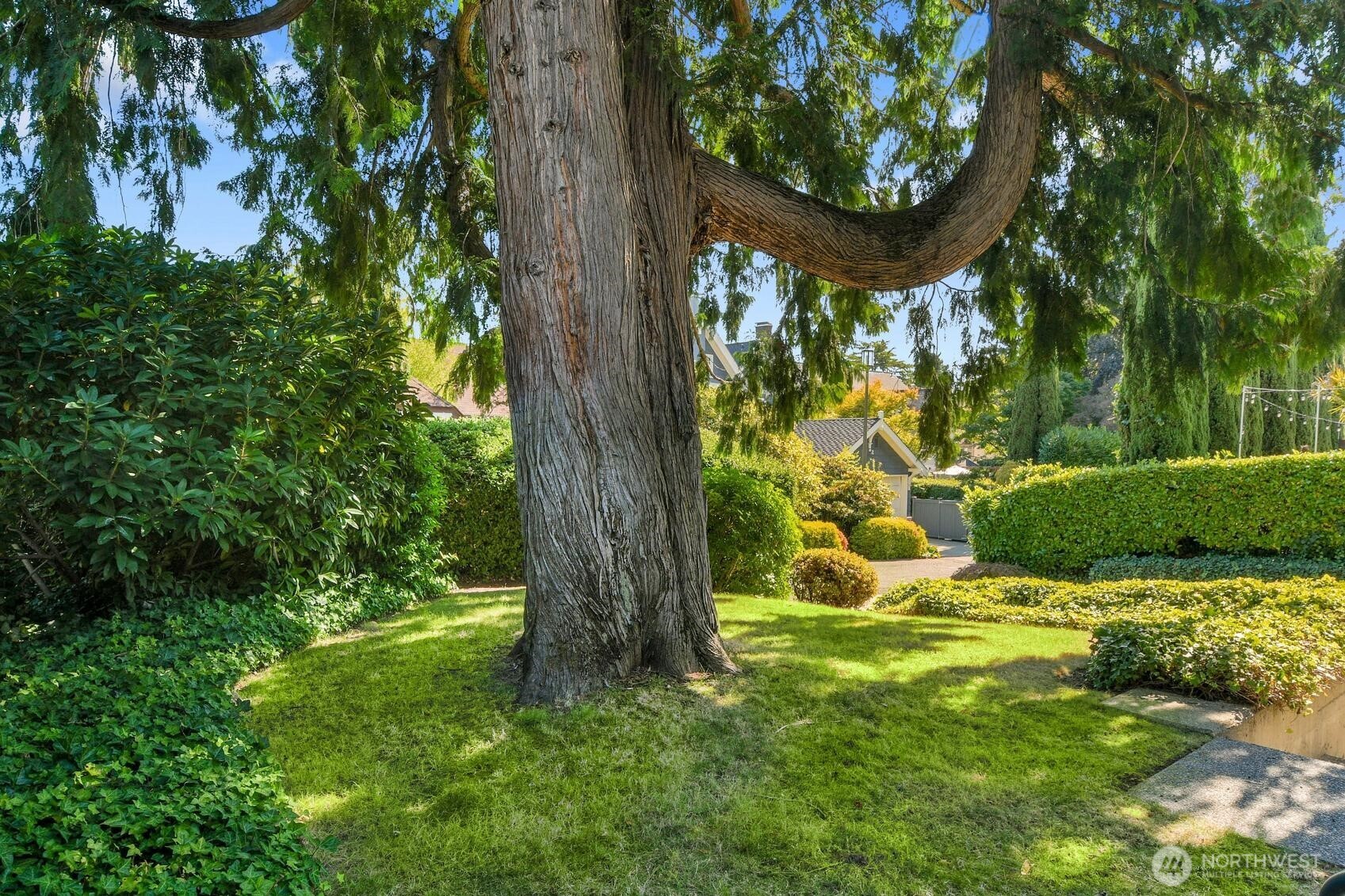 2712 Mount Saint Helens Place Property Photo 29