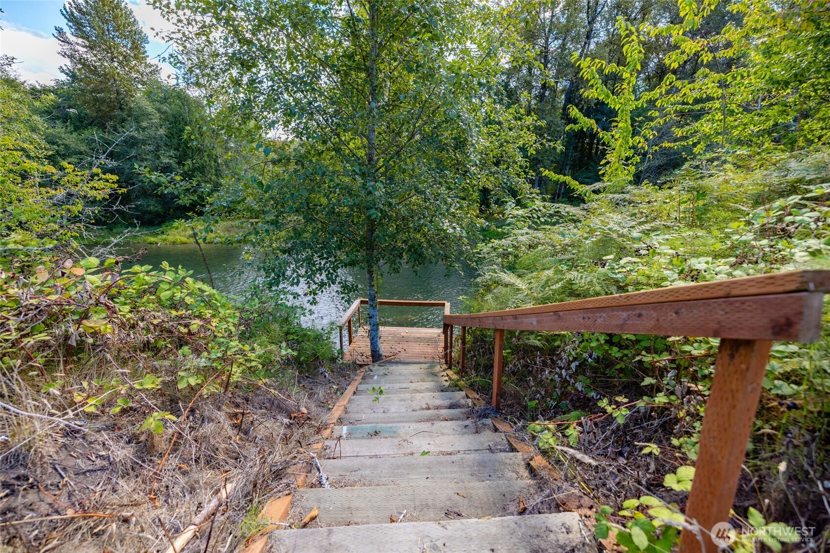 11911 Reiner Road Property Photo 34