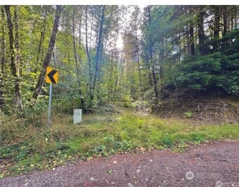 1085 N Lake Cushman Road Property Photo 1