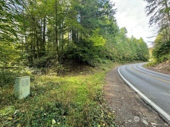 1085 N Lake Cushman Road Property Photo 4