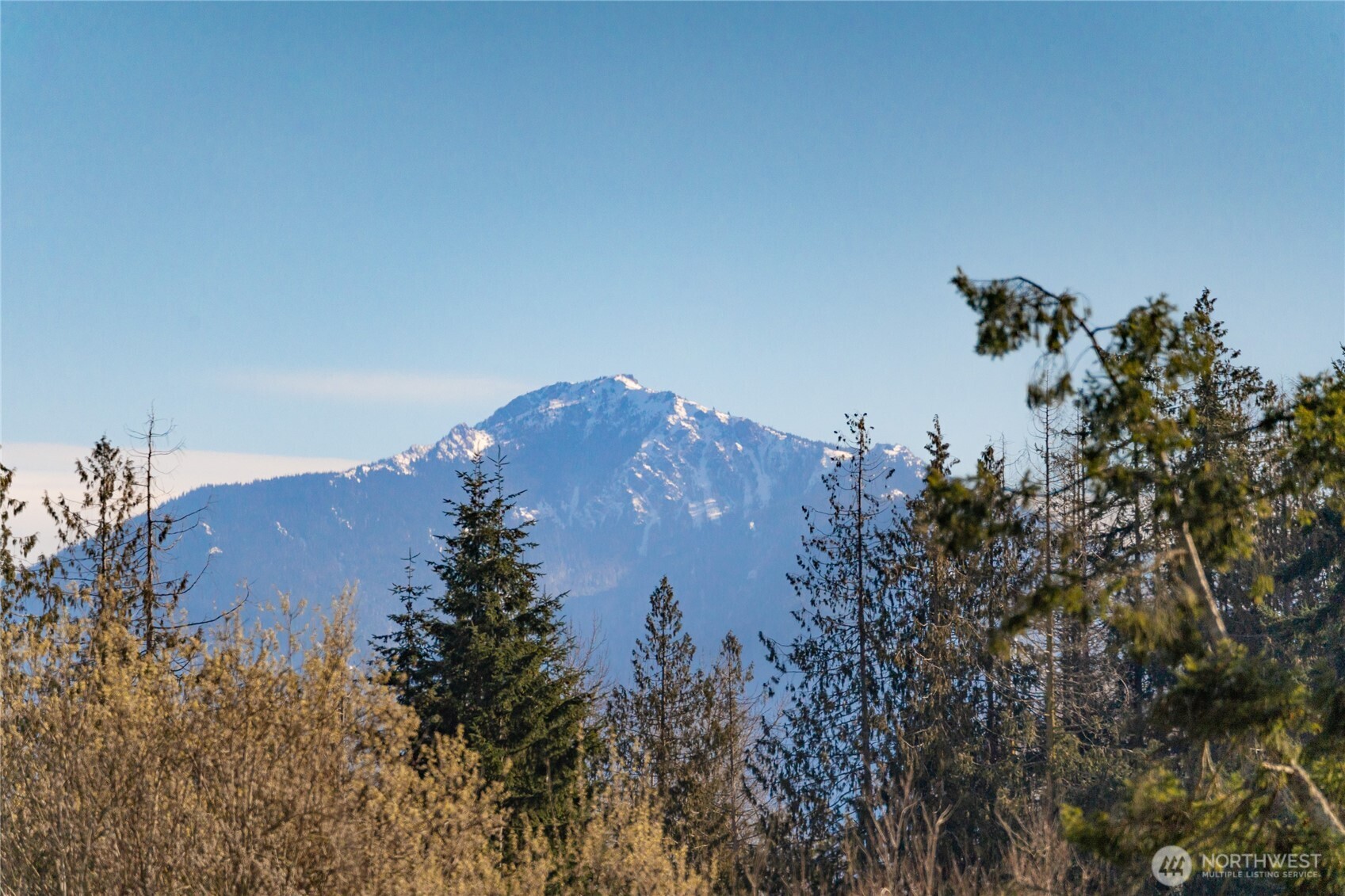 98 Lone Fir Lane Property Photo 37