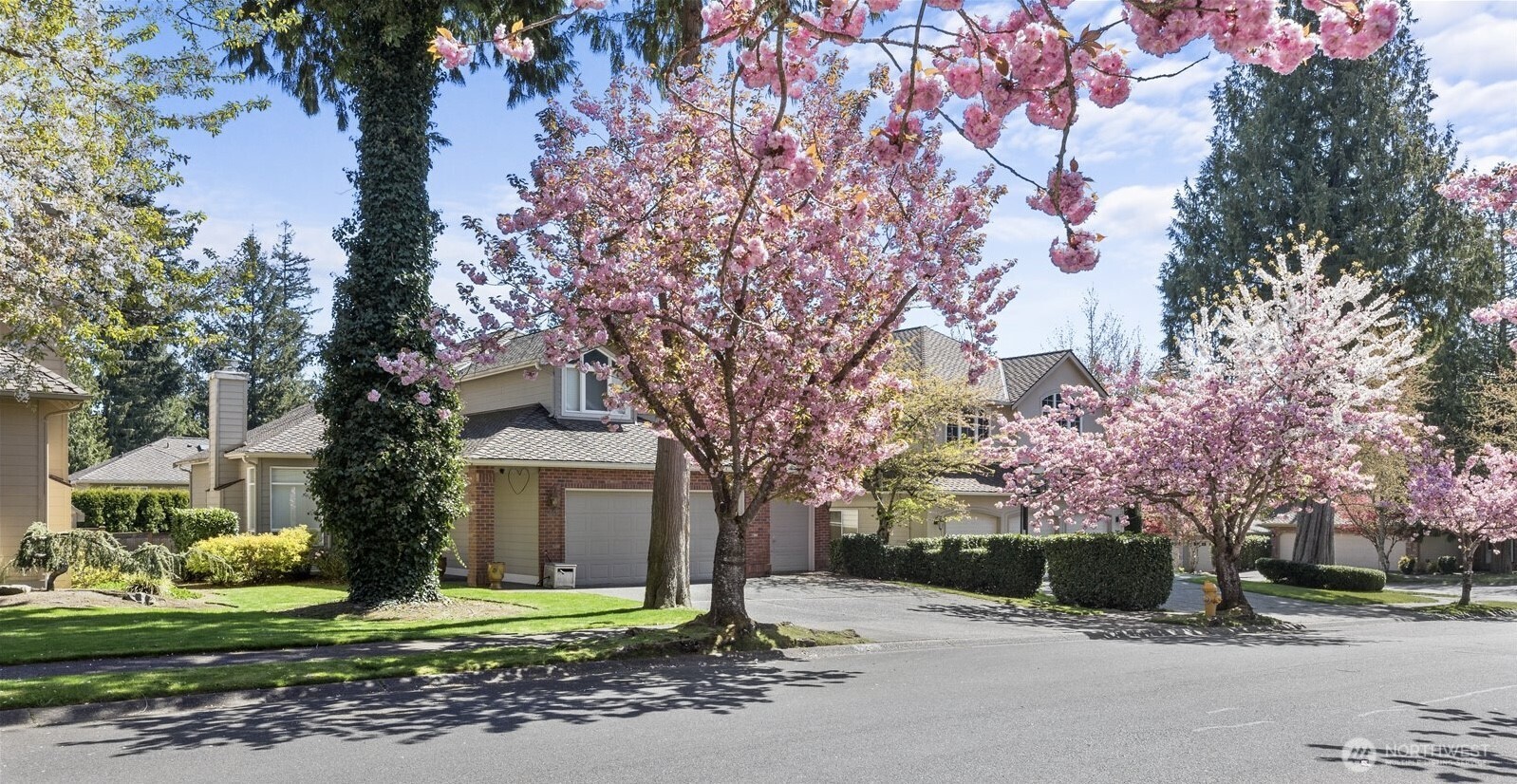 15505 33rd Avenue Property Photo 1