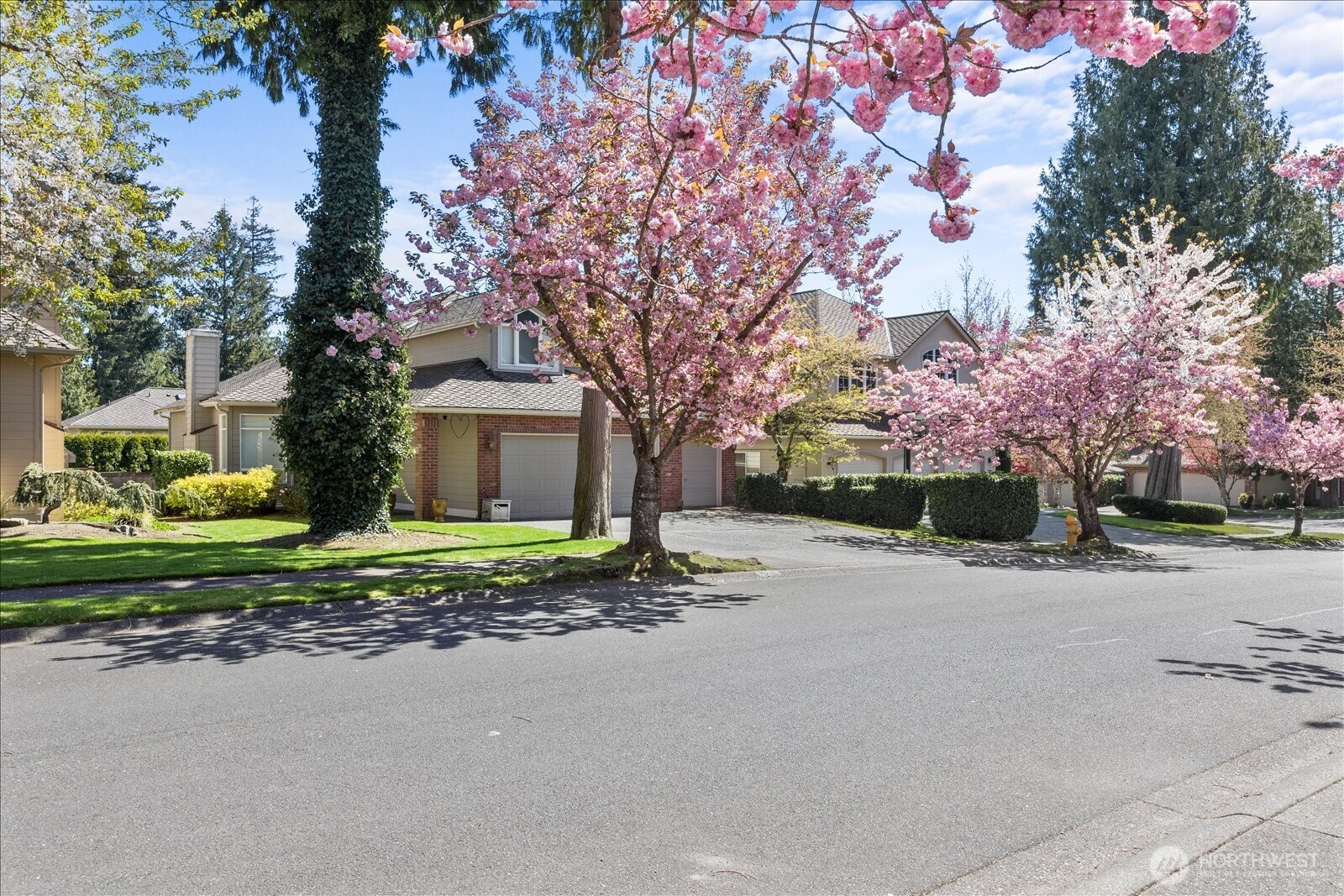 15505 33rd Avenue Property Photo 3