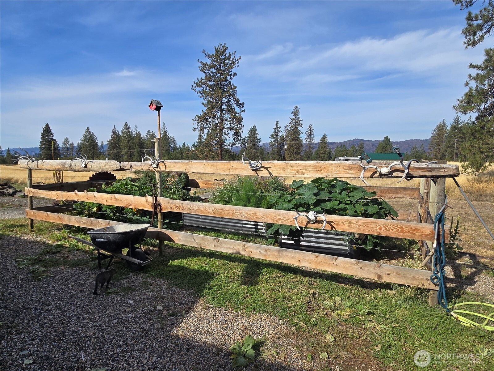 4297 Bissell Road Property Photo 23