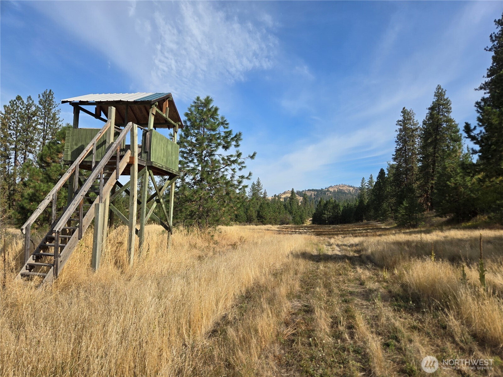 4297 Bissell Road Property Photo 27