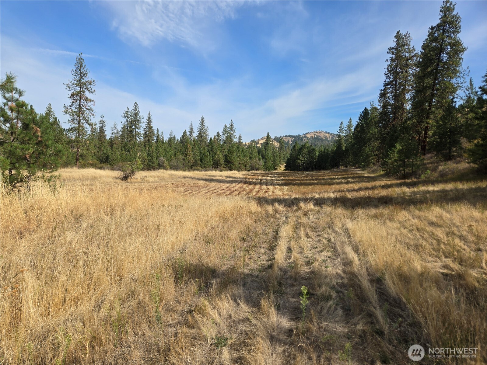 4297 Bissell Road Property Photo 28