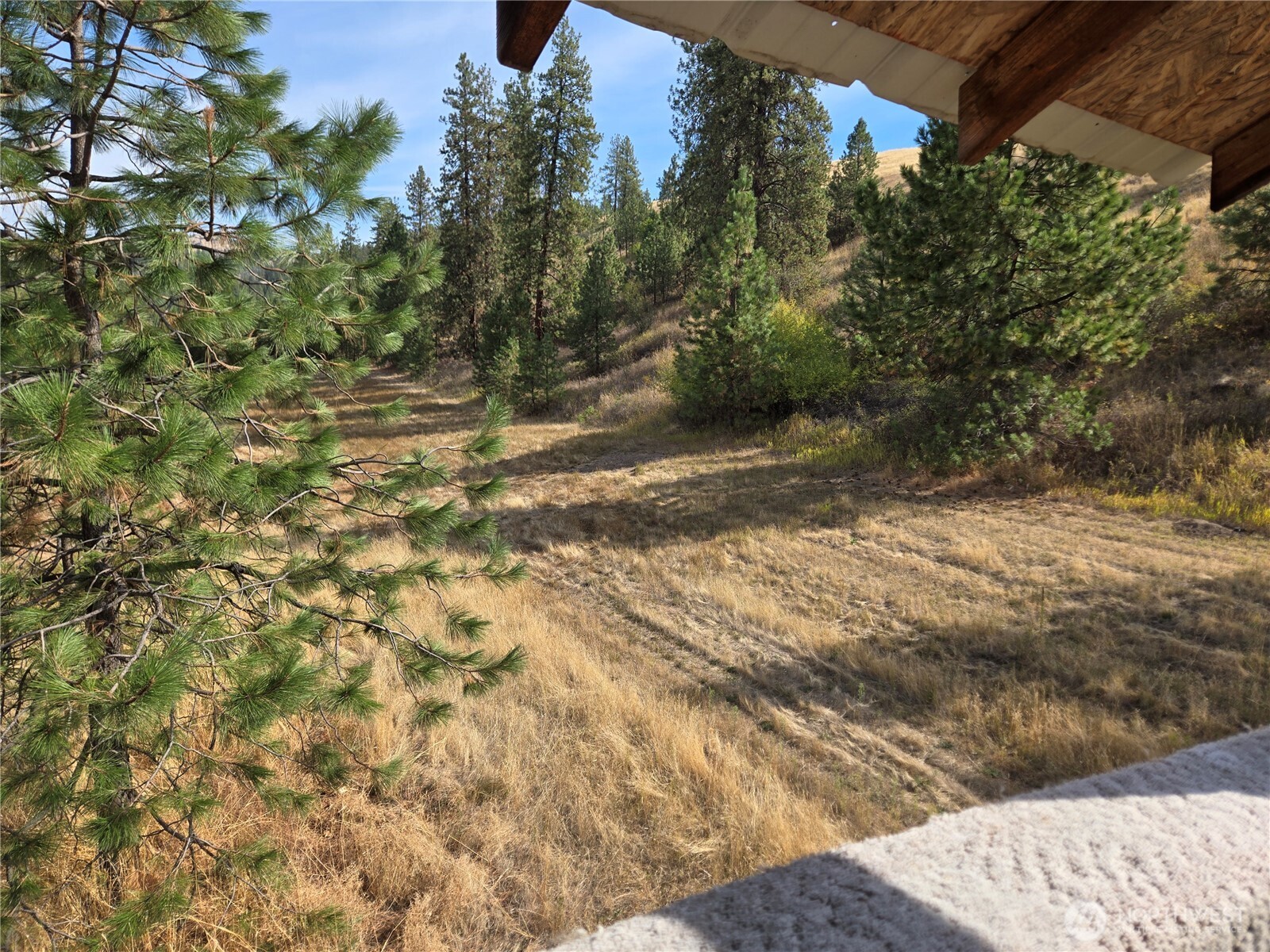 4297 Bissell Road Property Photo 31