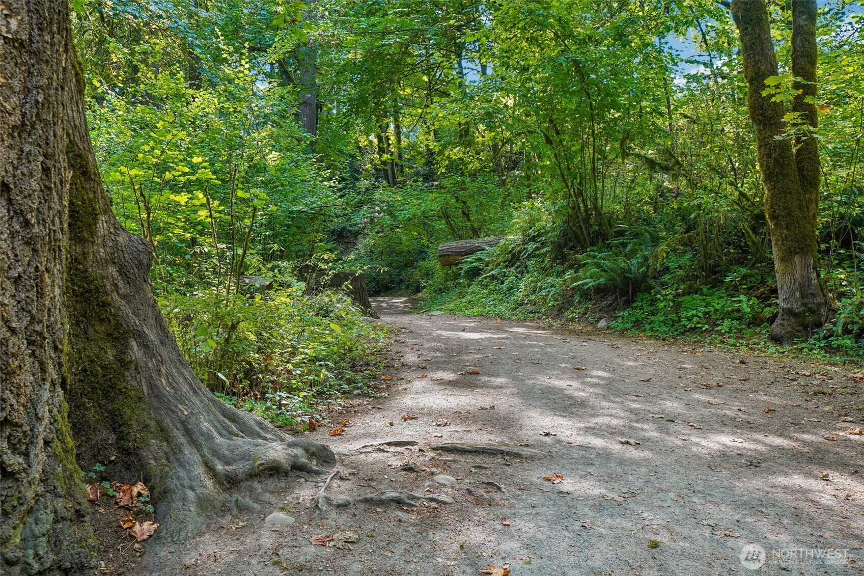 12618 Ne Potter Road Property Photo 18