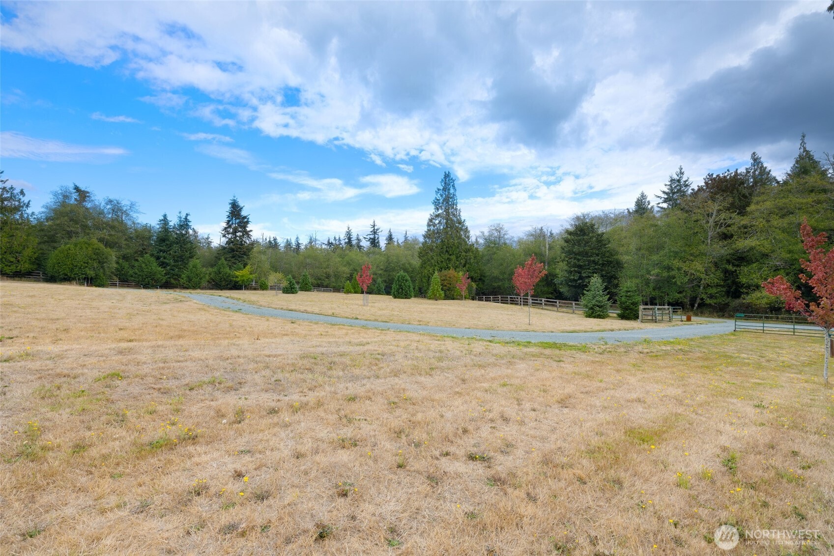 5196 Foxglove Lane Property Photo 7