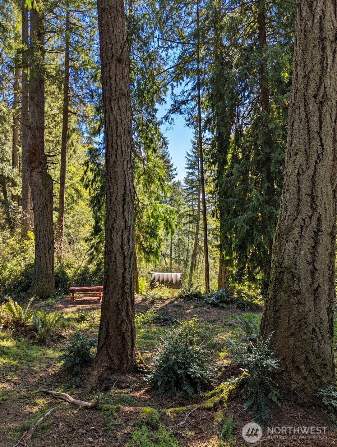 12204 Sound Drive Property Photo 3