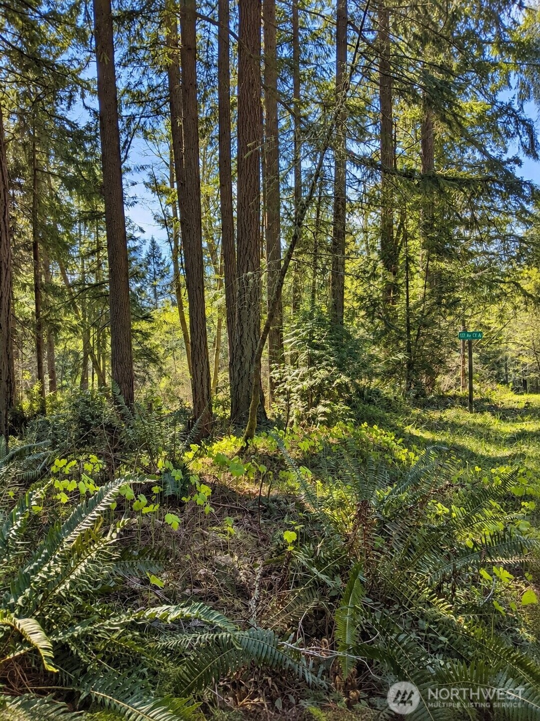 12204 Sound Drive Property Photo 4