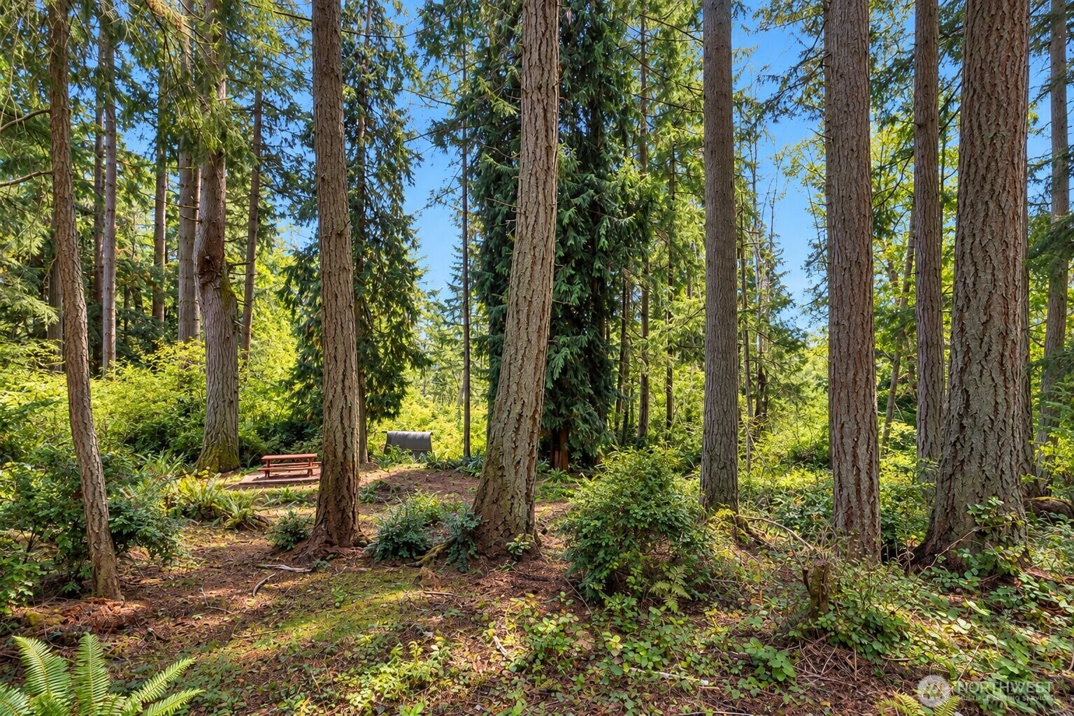 12204 Sound Drive Property Photo 5