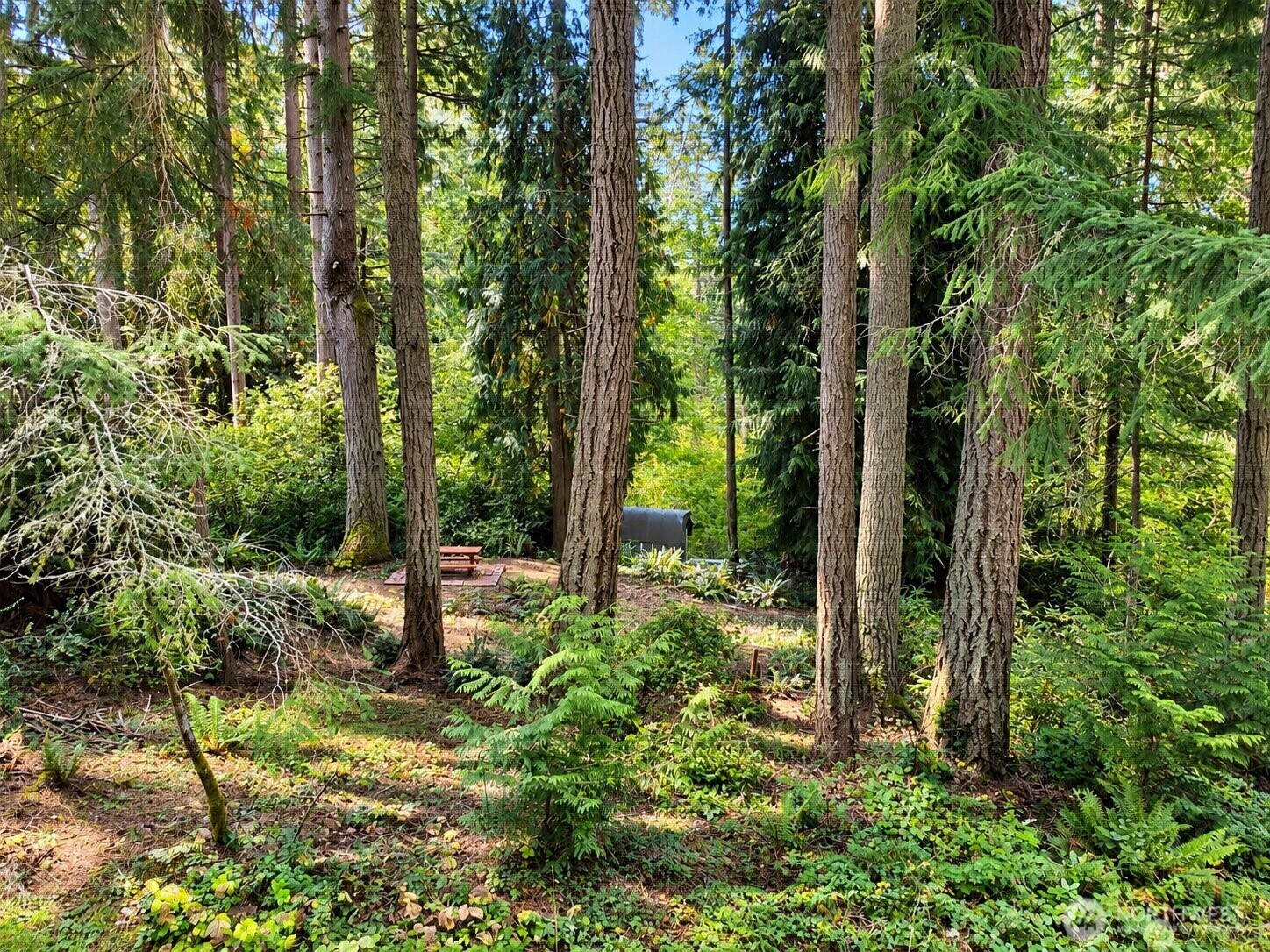 12204 Sound Drive Property Photo 6