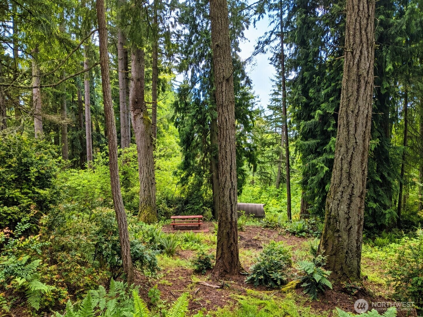 12204 Sound Drive Property Photo 7