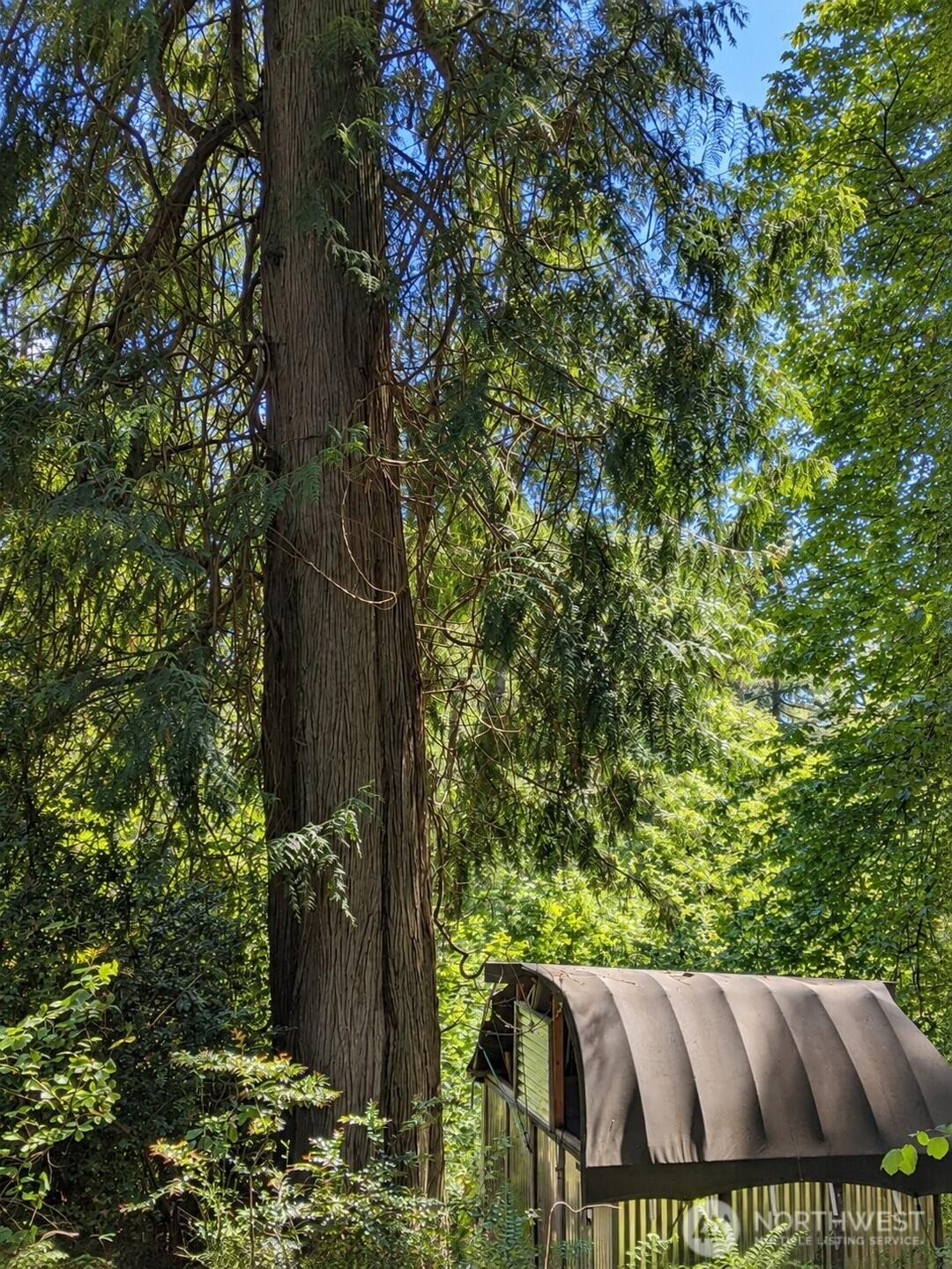 12204 Sound Drive Property Photo 8