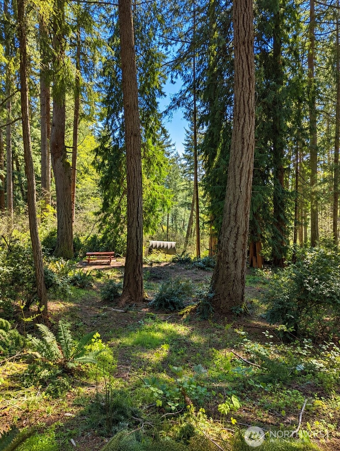 12204 Sound Drive Property Photo 9