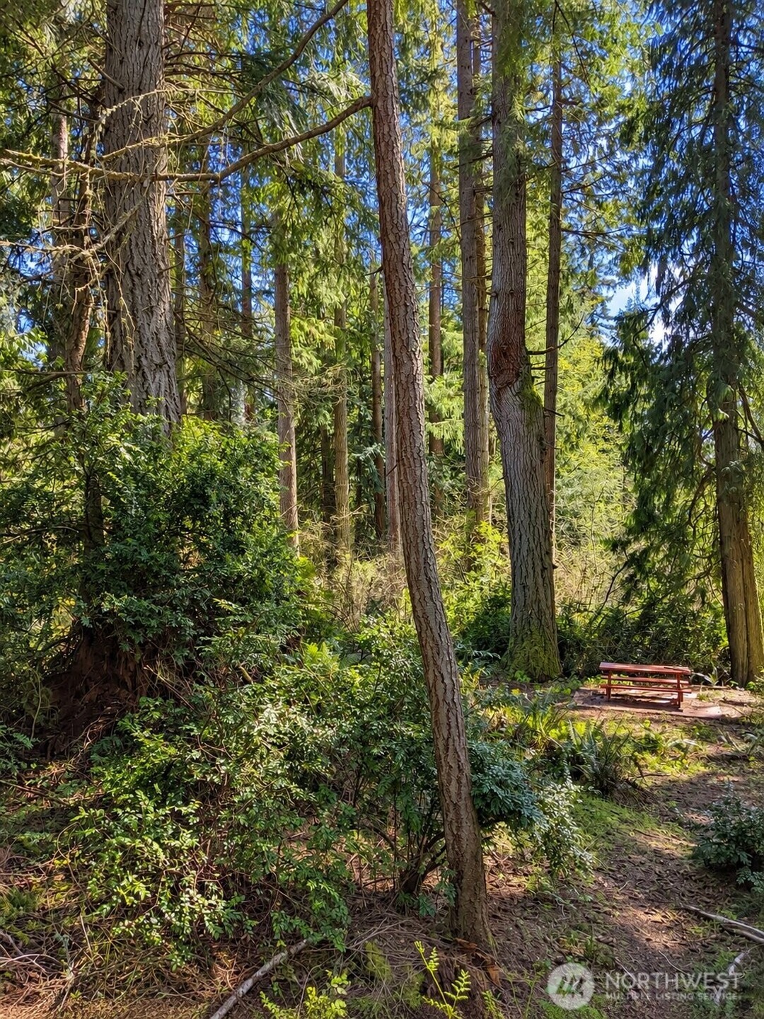 12204 Sound Drive Property Photo 12