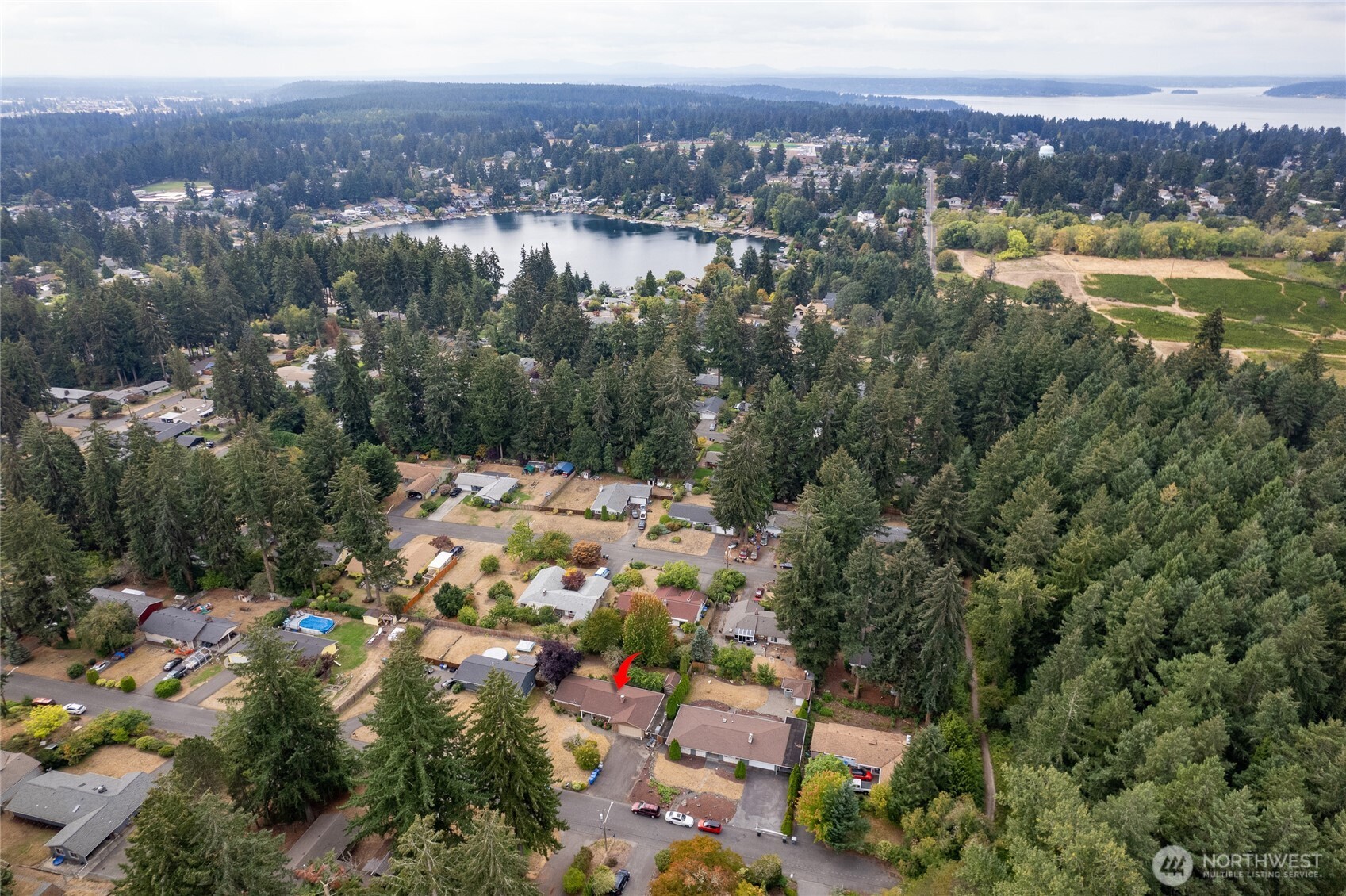 10120 Cedrona Street Property Photo 26