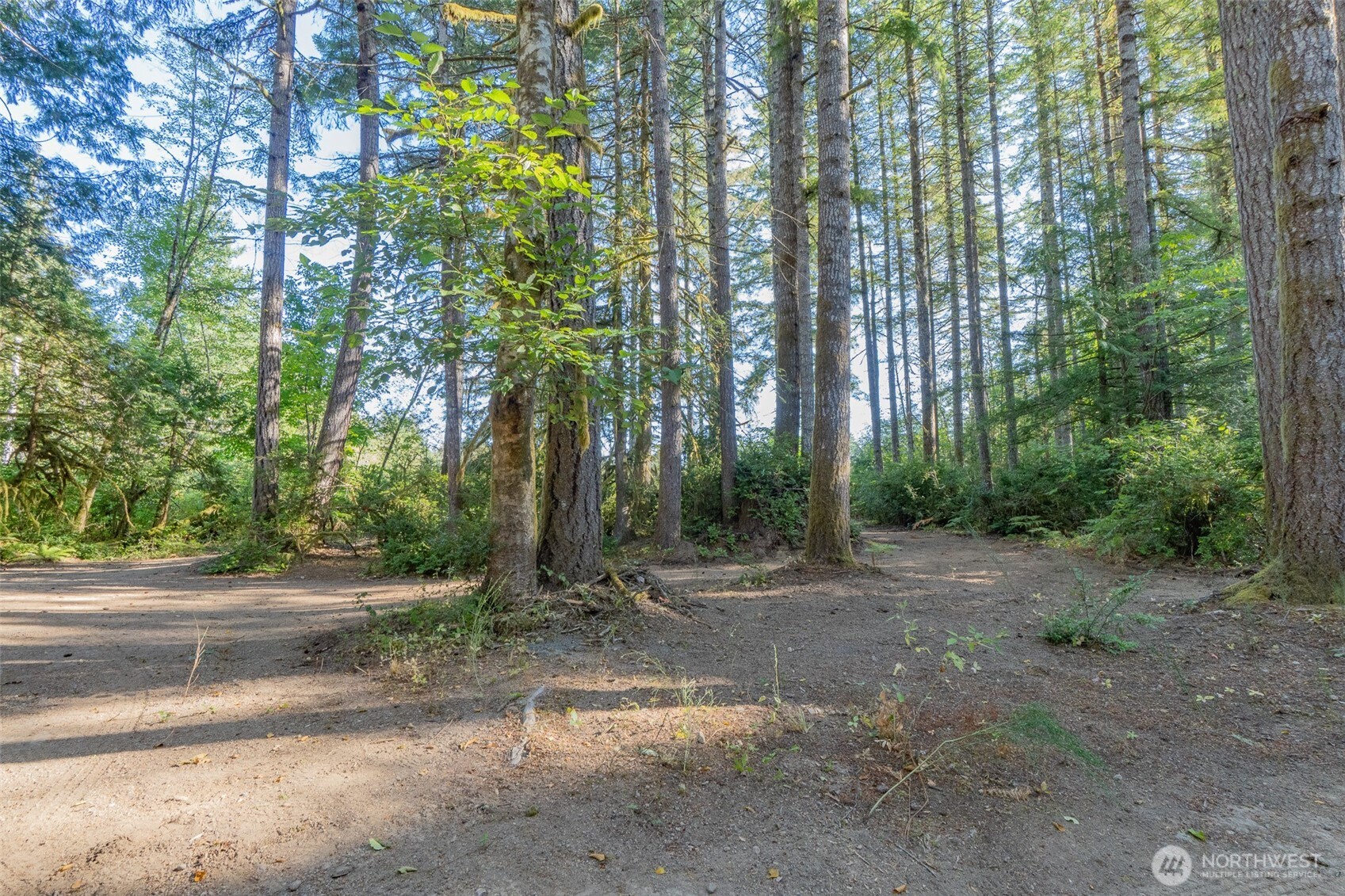 0 E Benson Loop Rd Property Photo 3