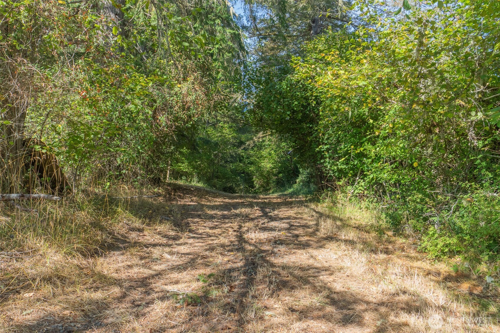0 E Benson Loop Rd Property Photo 12