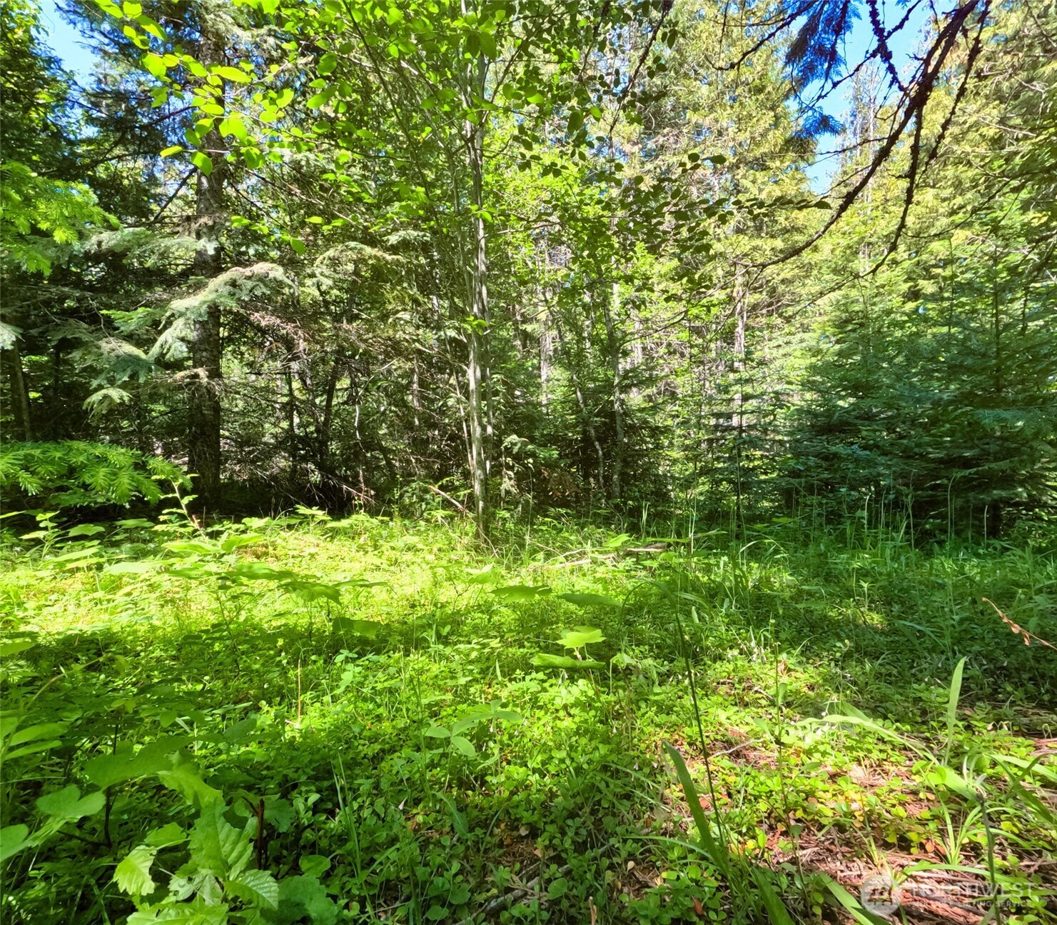 631 Deeter Road Property Photo 30