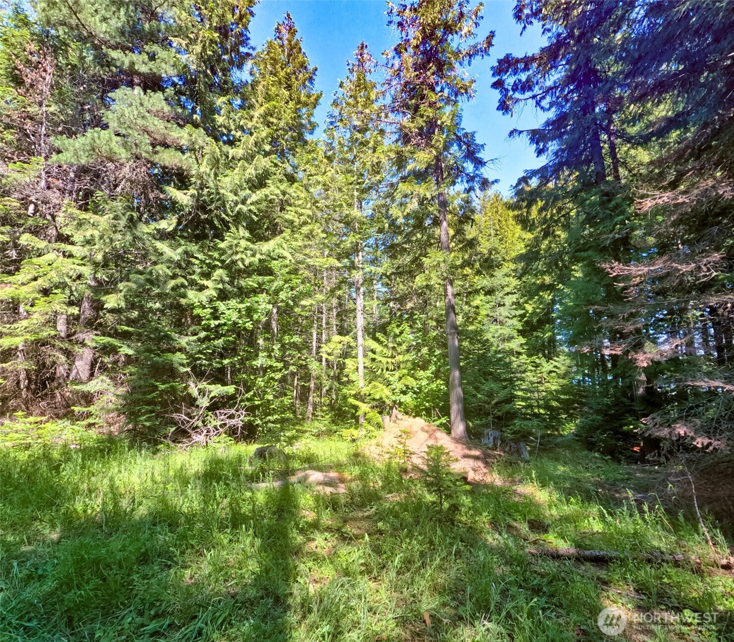 631 Deeter Road Property Photo 31