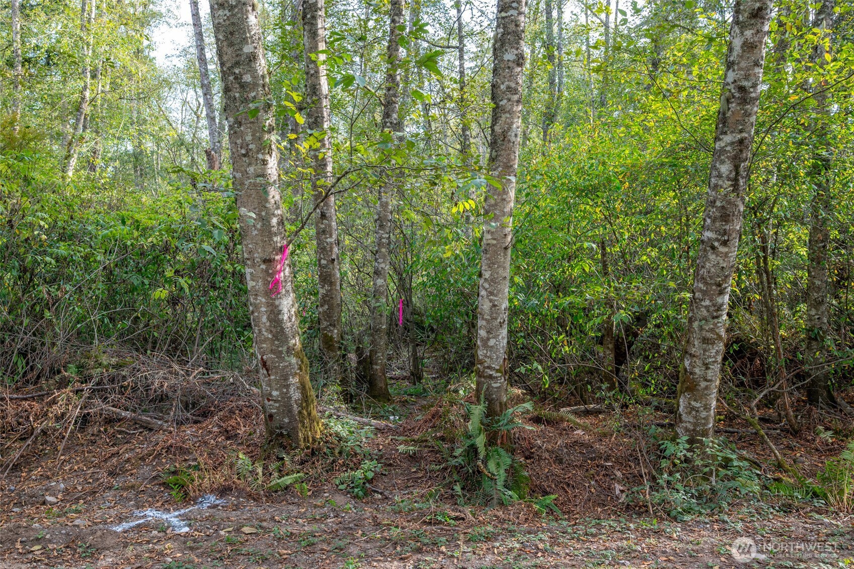 0 Nhn Harmony Road Property Photo 5