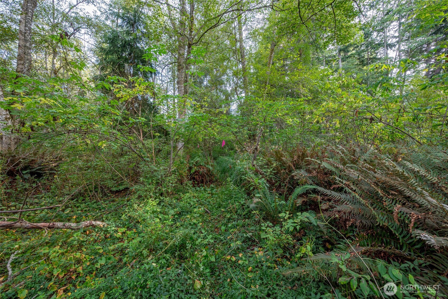 0 Nhn Harmony Road Property Photo 8