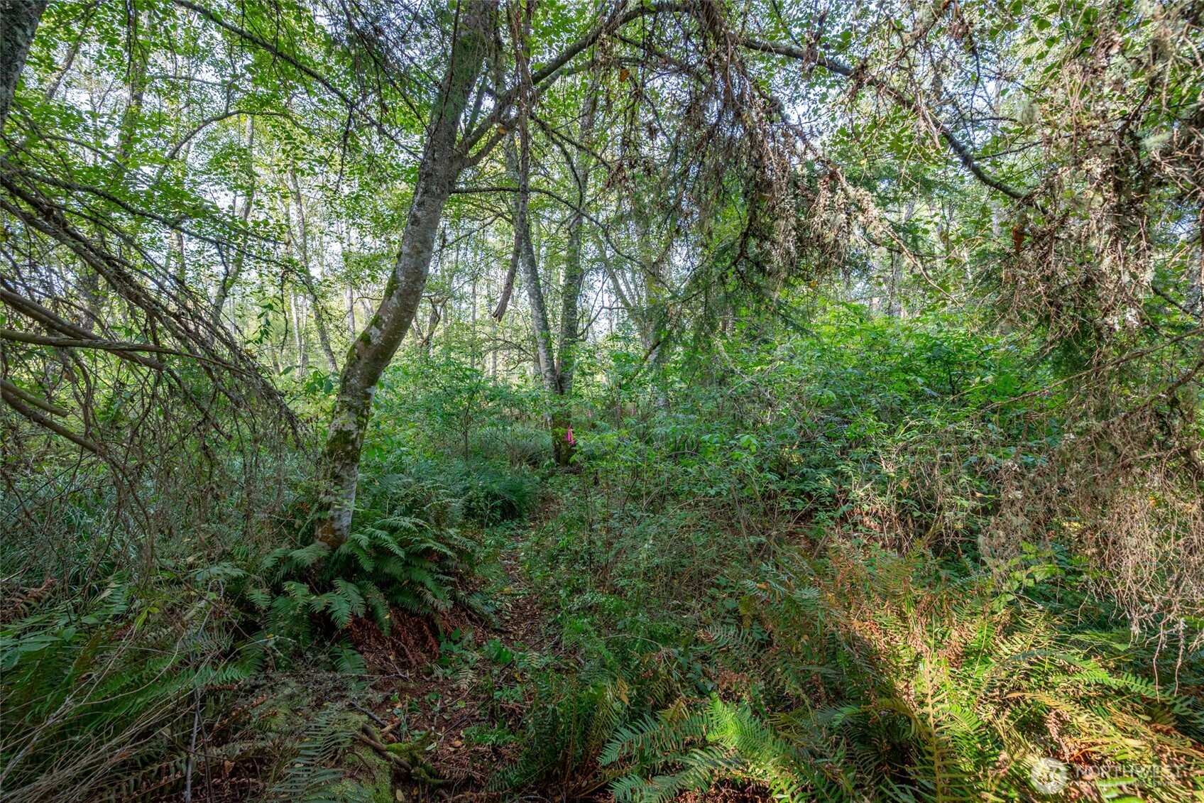 0 Nhn Harmony Road Property Photo 10