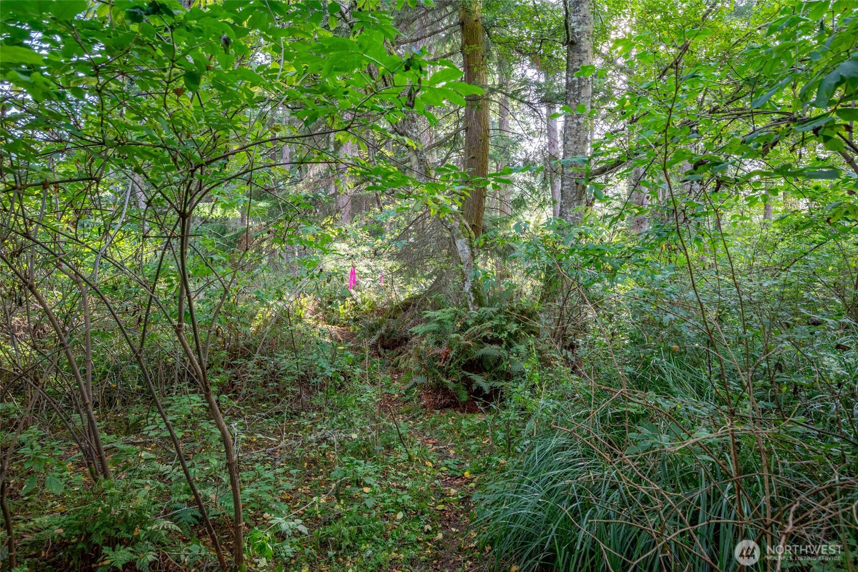 0 Nhn Harmony Road Property Photo 11