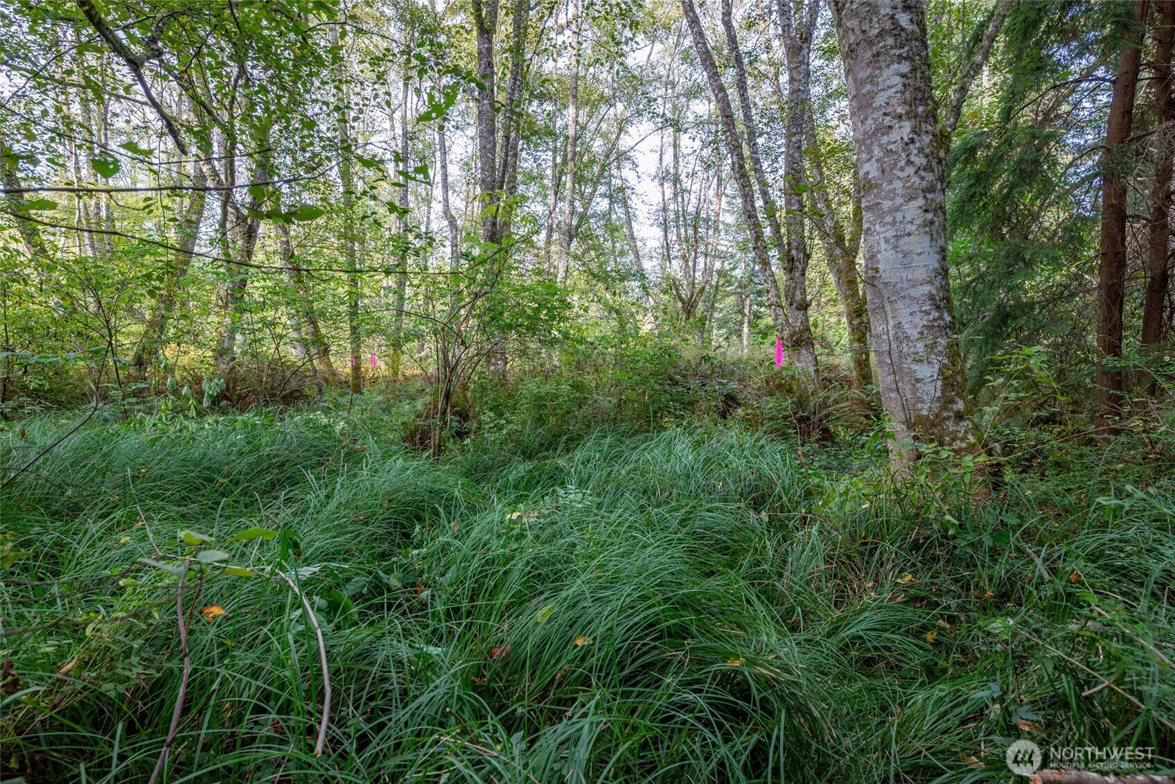 0 Nhn Harmony Road Property Photo 12