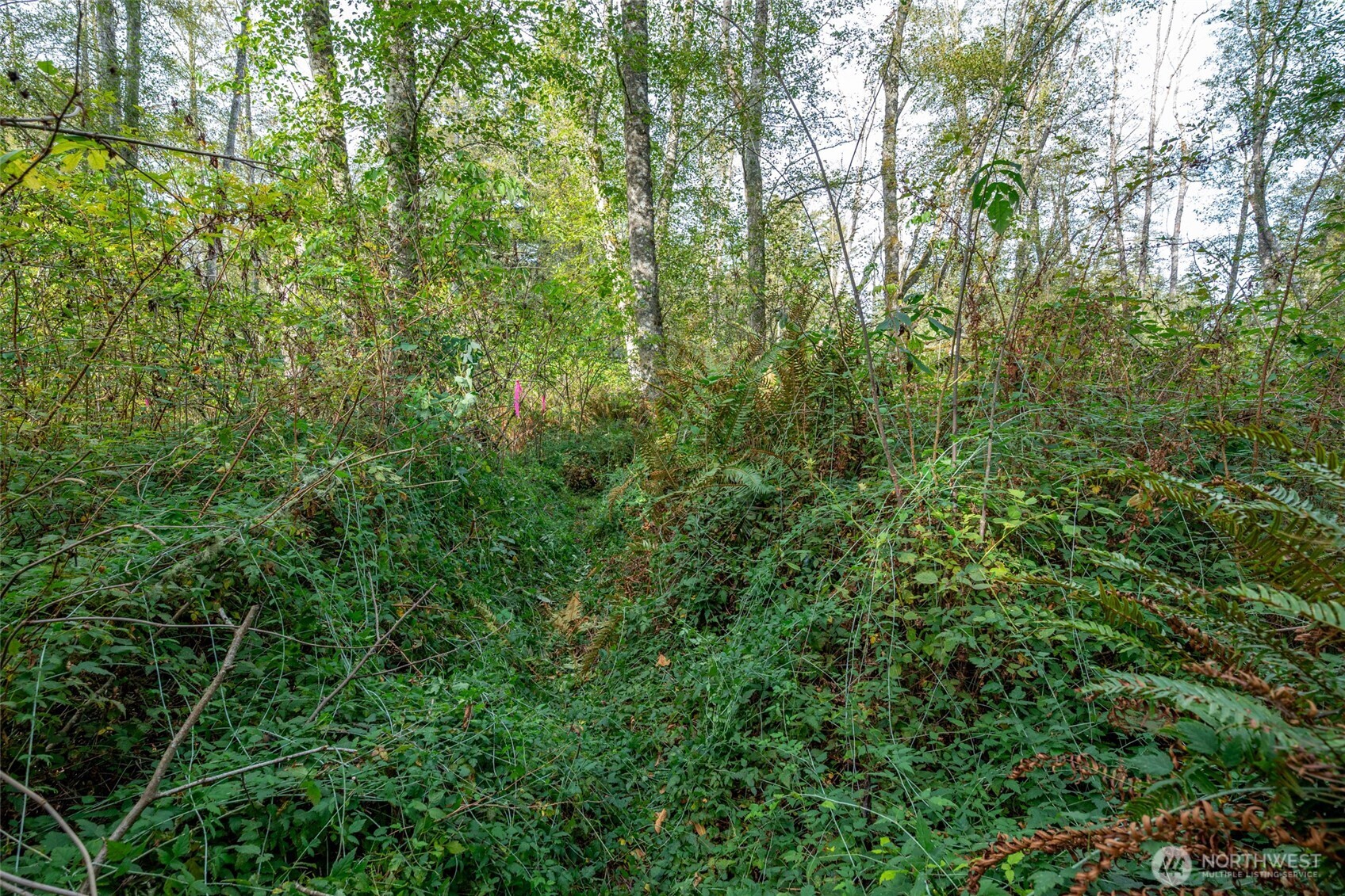 0 Nhn Harmony Road Property Photo 13