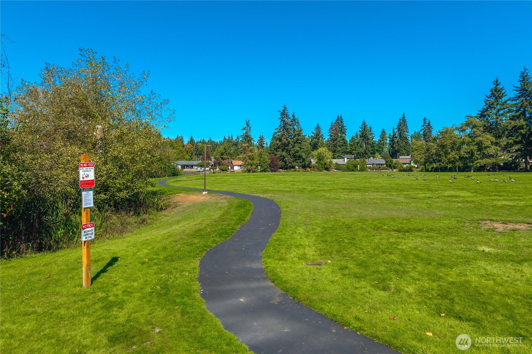 32544 42nd Place Property Photo 39
