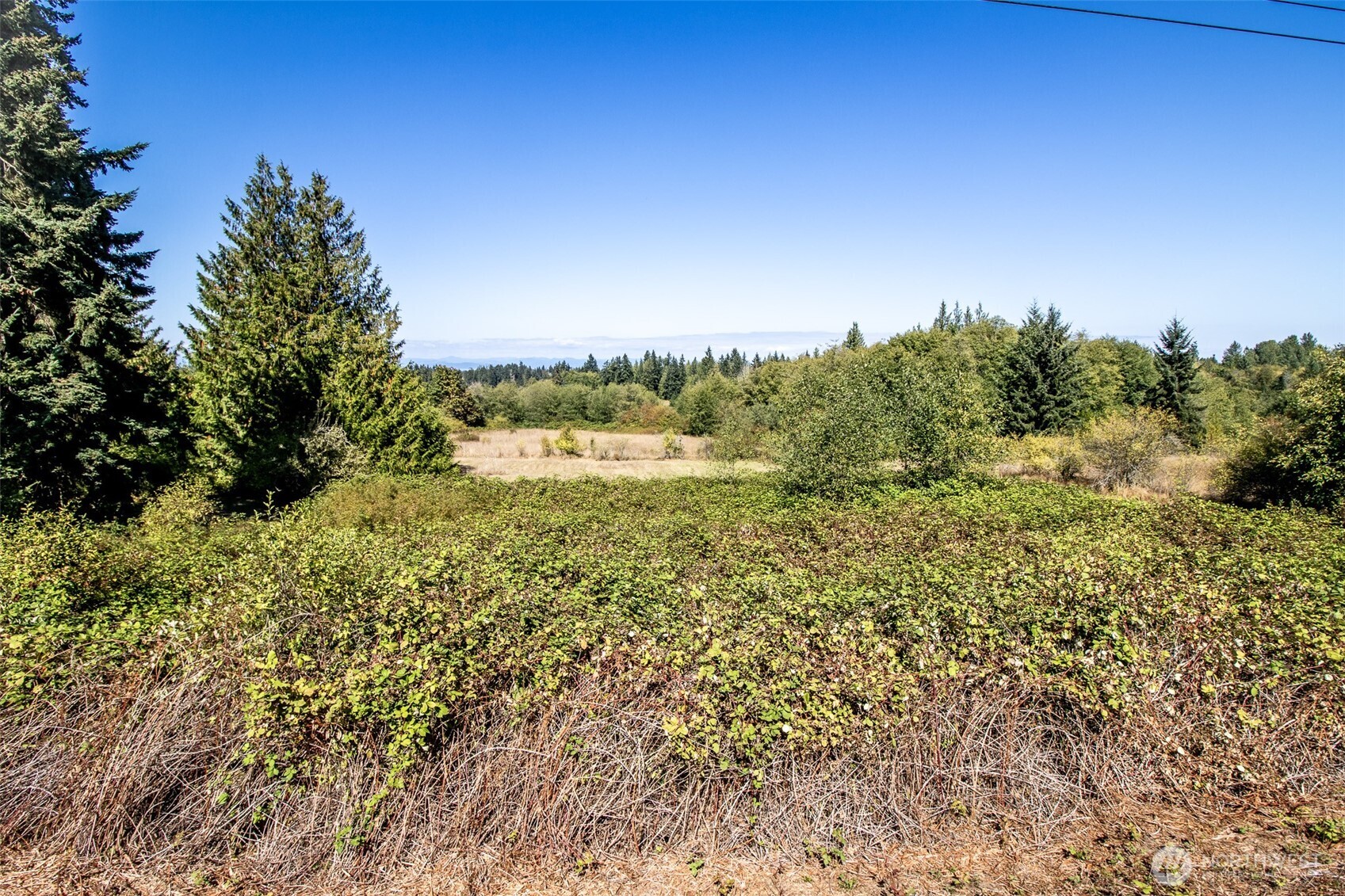 208 Lot B&c Laird Property Photo 11