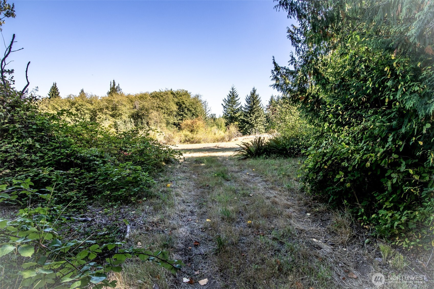 208 Lot B&c Laird Property Photo 18