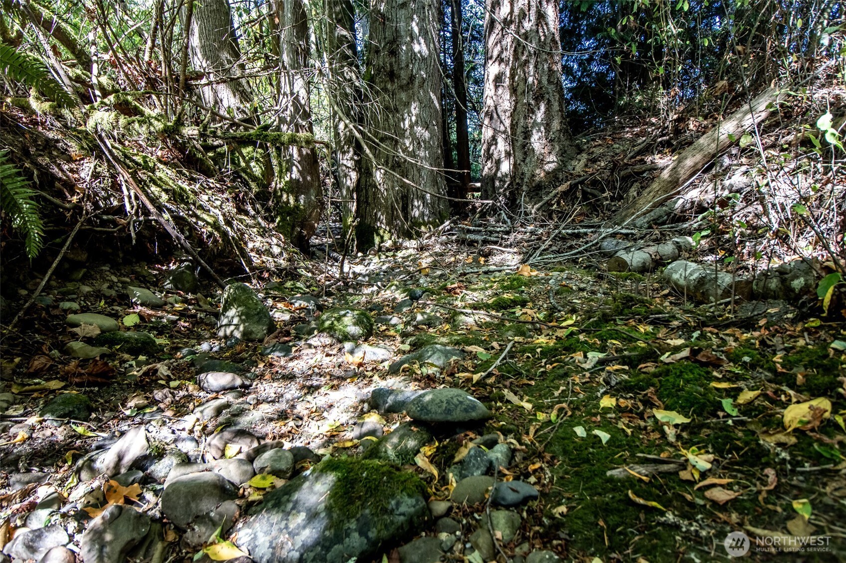208 Lot B&c Laird Property Photo 19