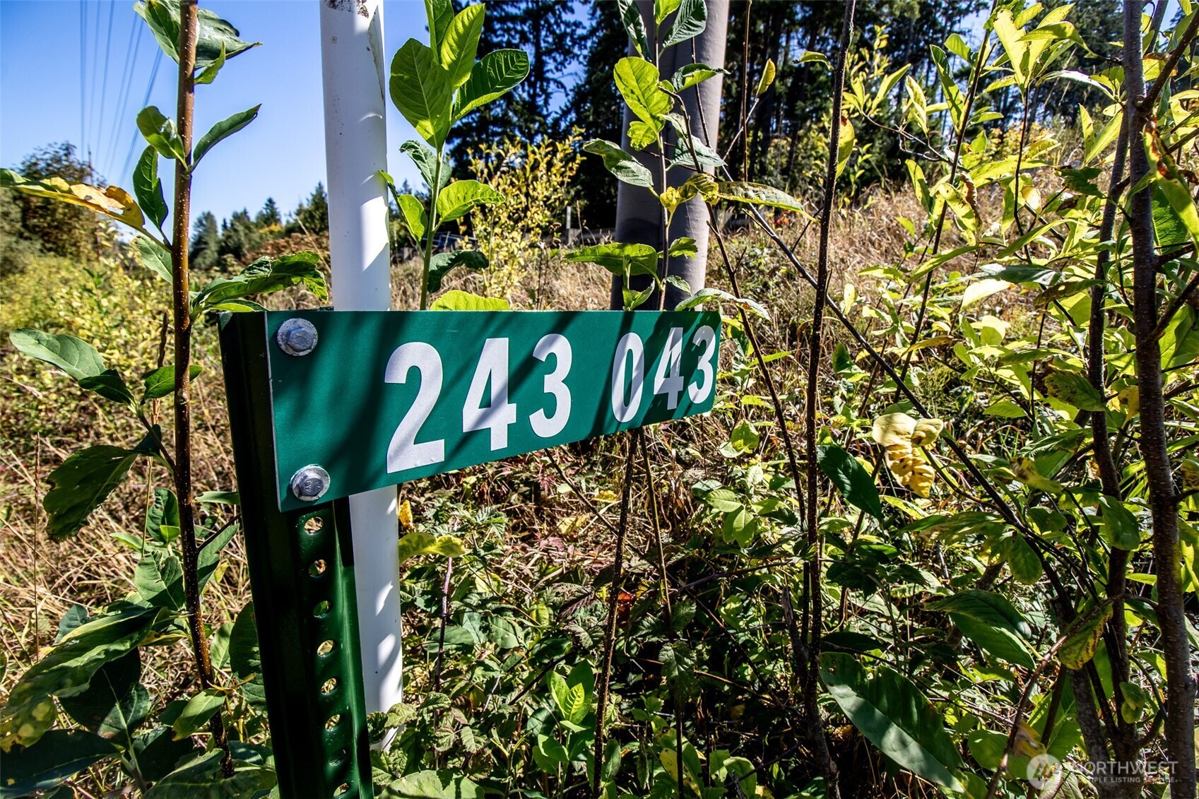 243043 Highway 101 Property Photo 3