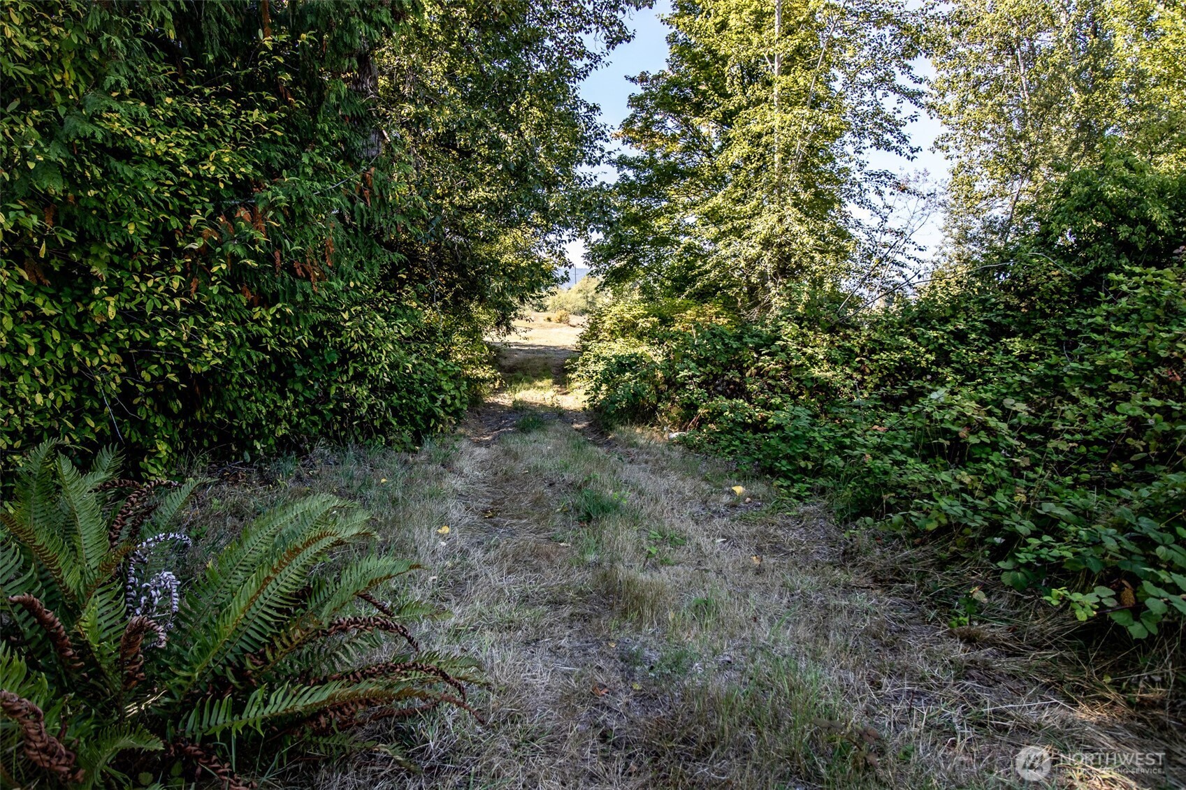 243043 Highway 101 Property Photo 5